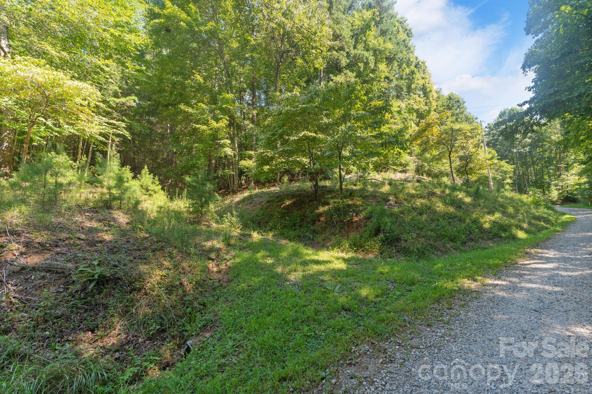 80 Breezewood Drive