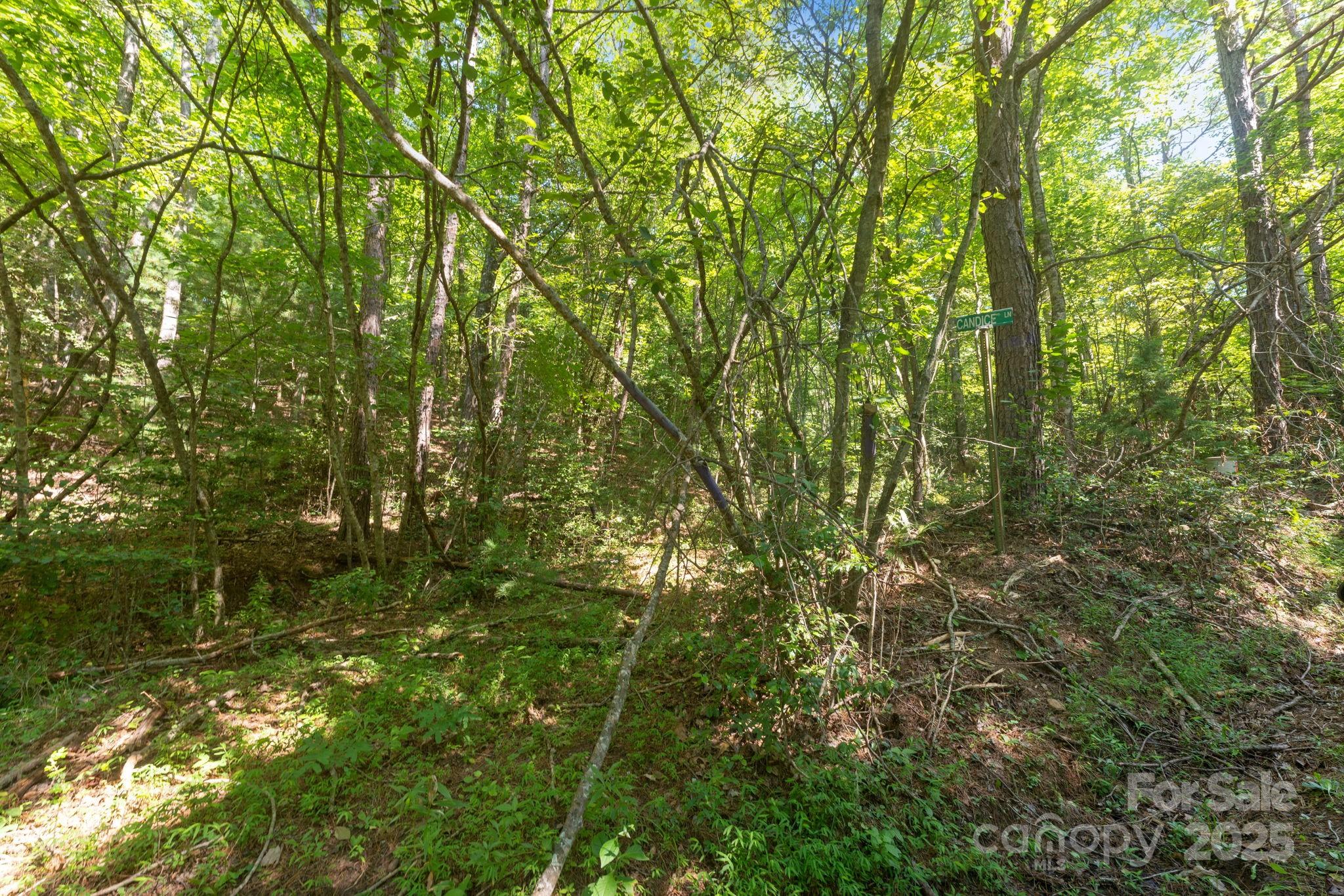 80 Breezewood Drive