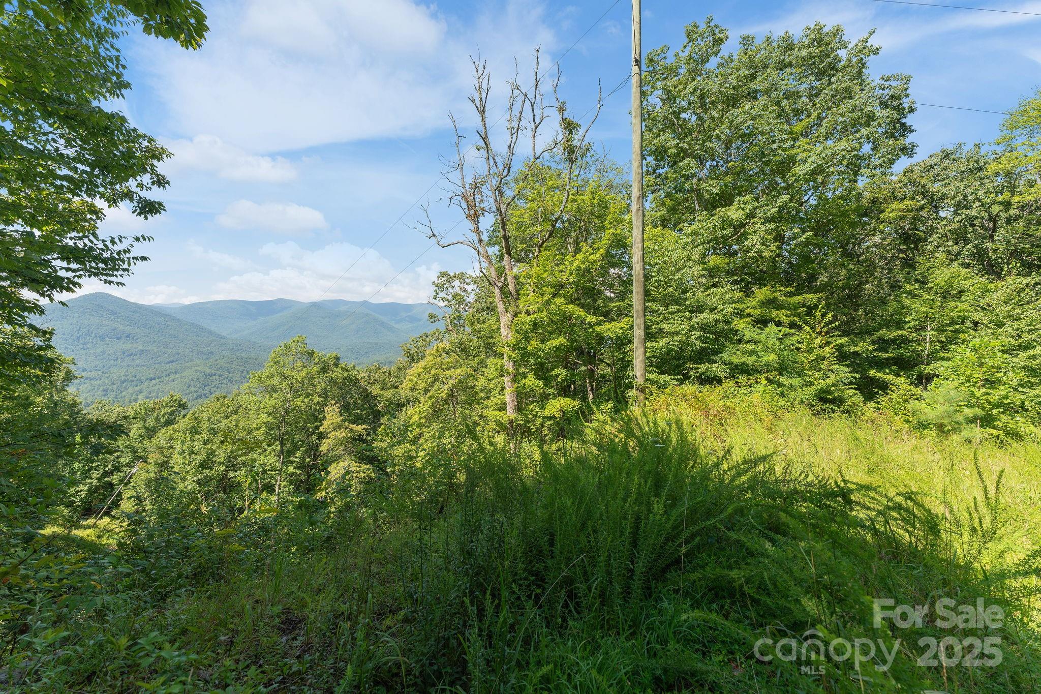 80 Breezewood Drive