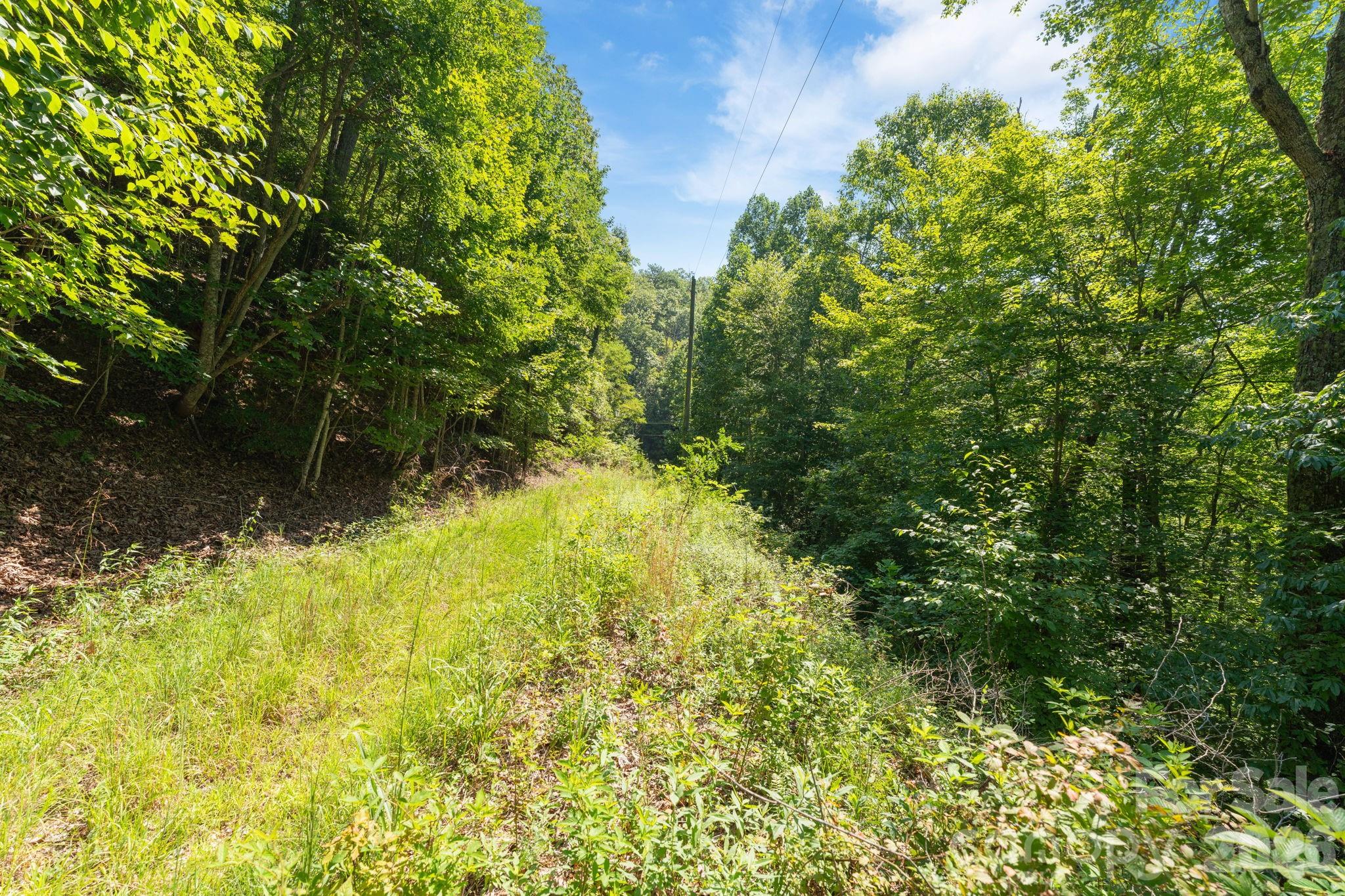 80 Breezewood Drive