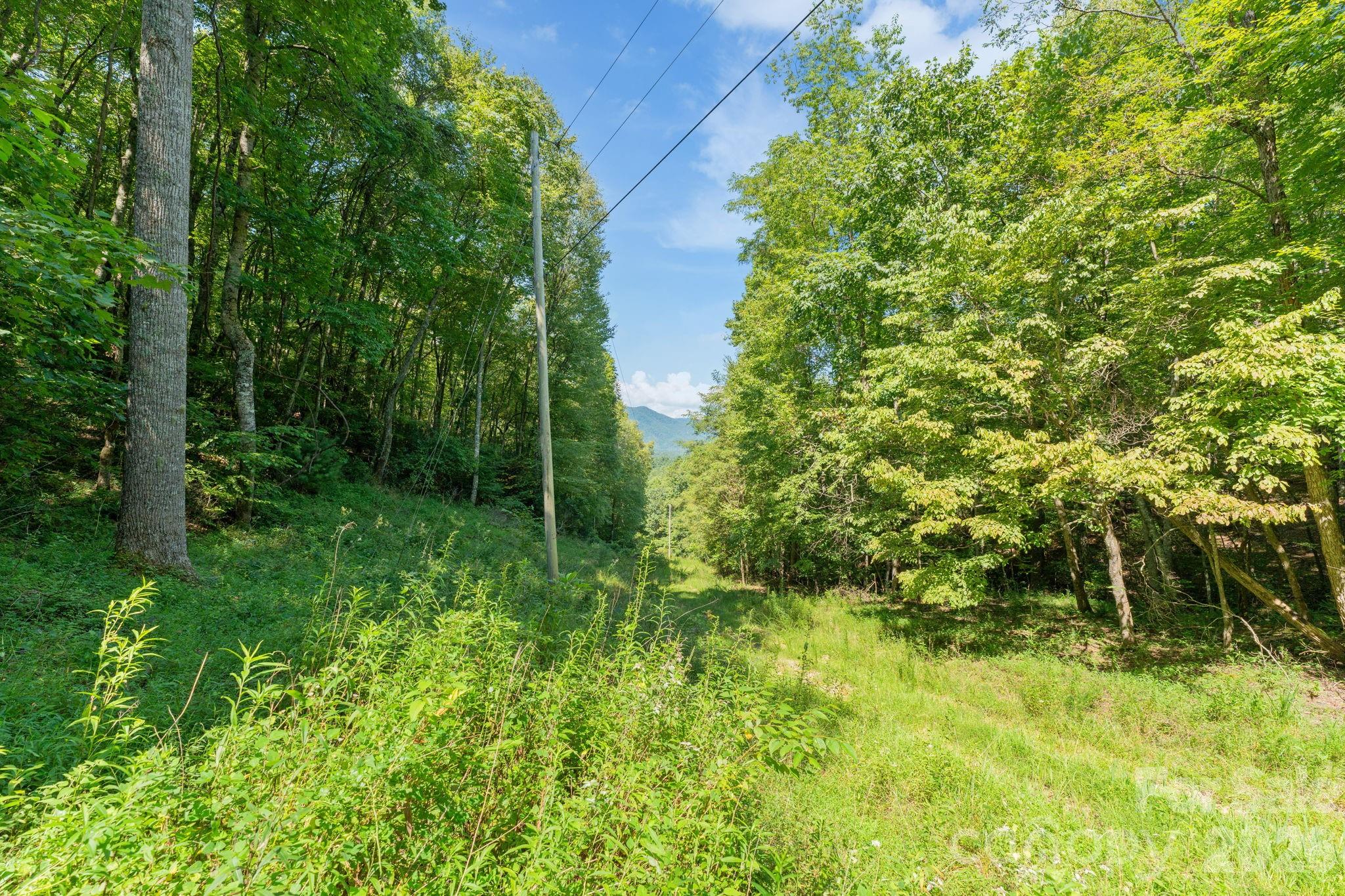 80 Breezewood Drive