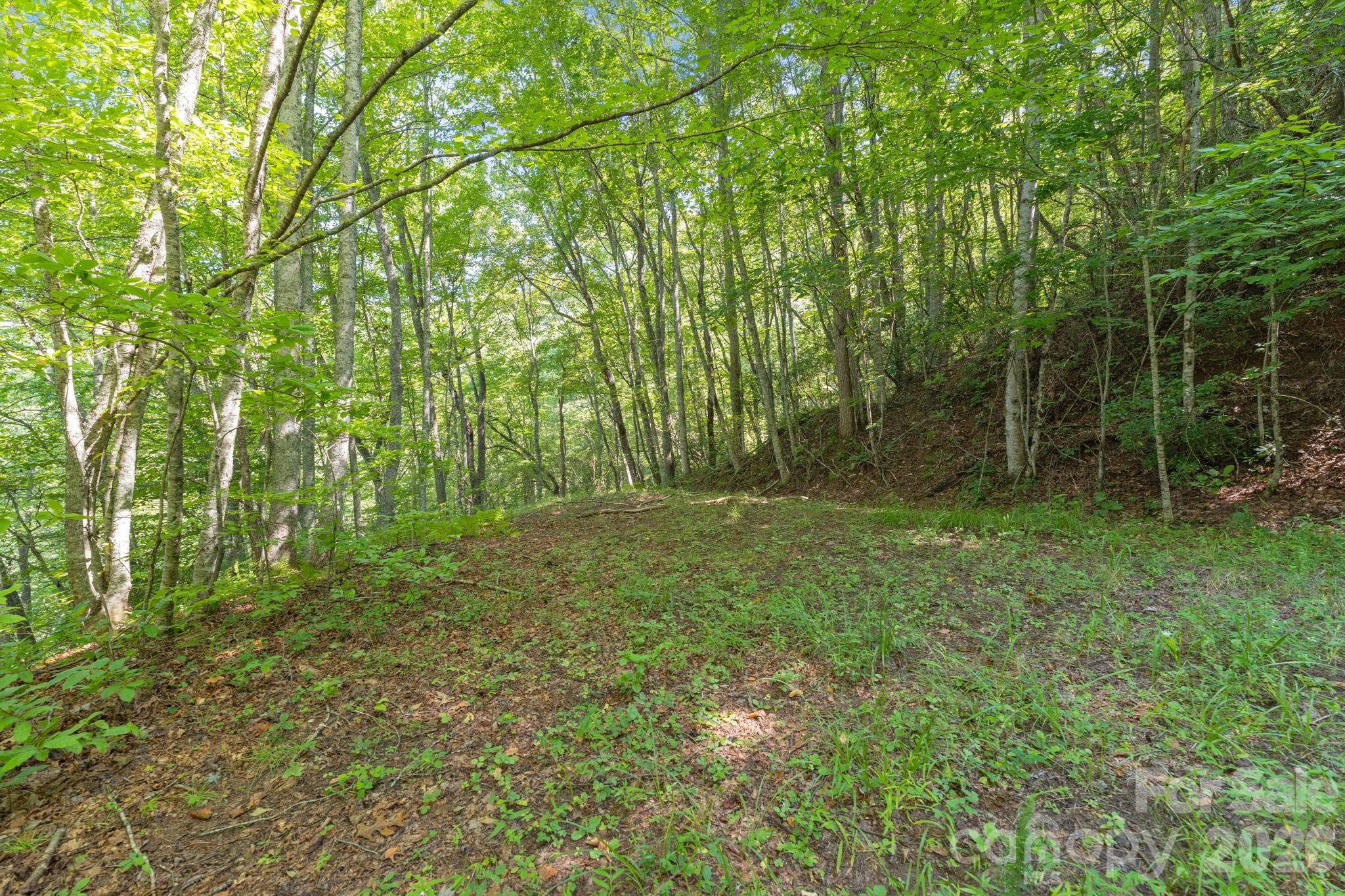 80 Breezewood Drive