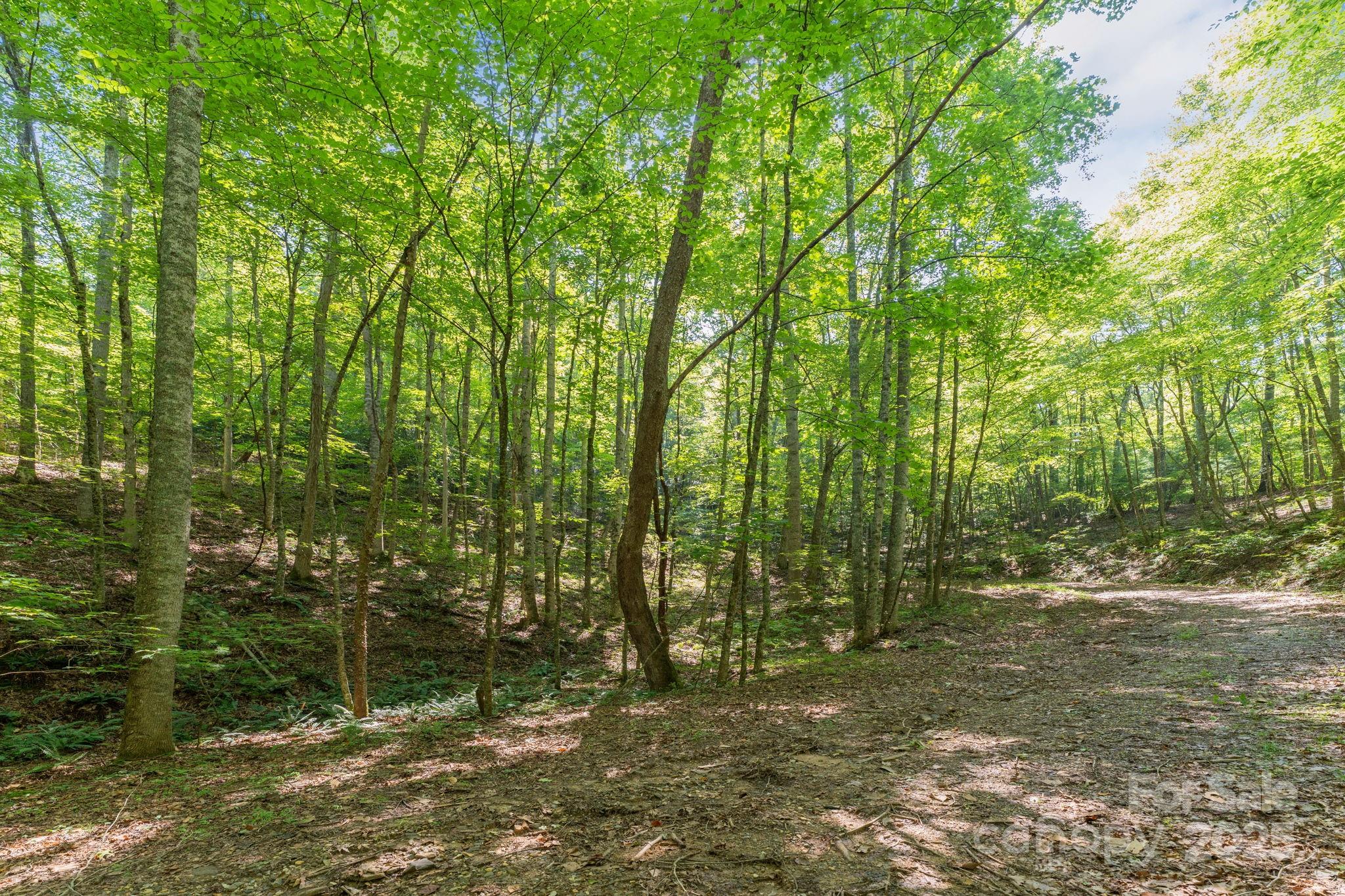 80 Breezewood Drive