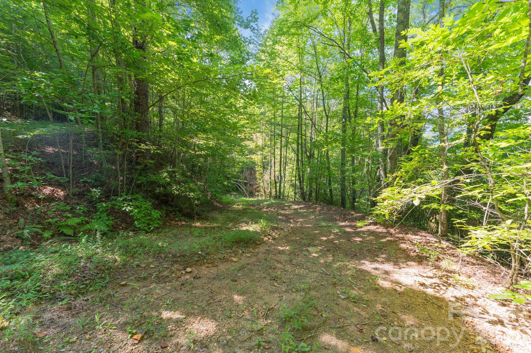 80 Breezewood Drive
