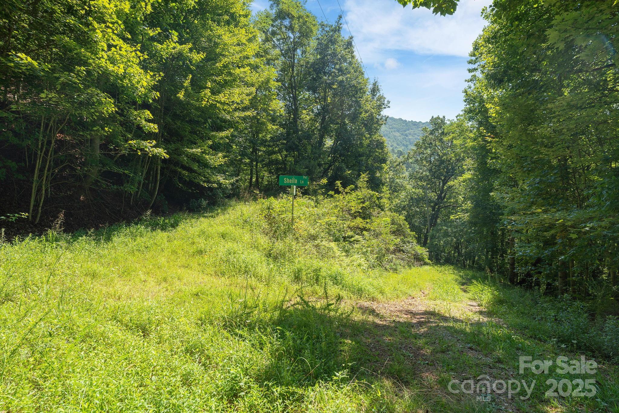80 Breezewood Drive