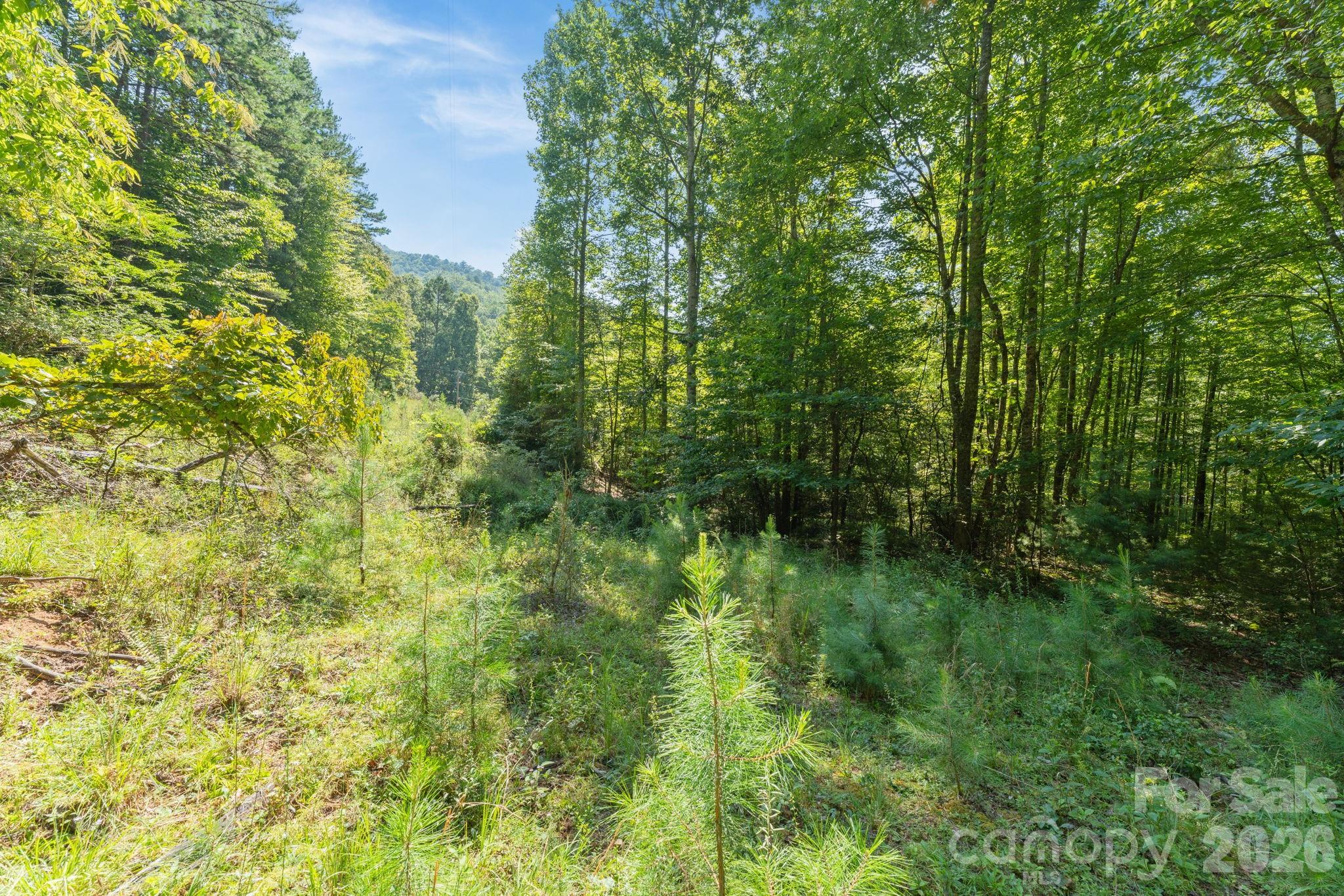 80 Breezewood Drive