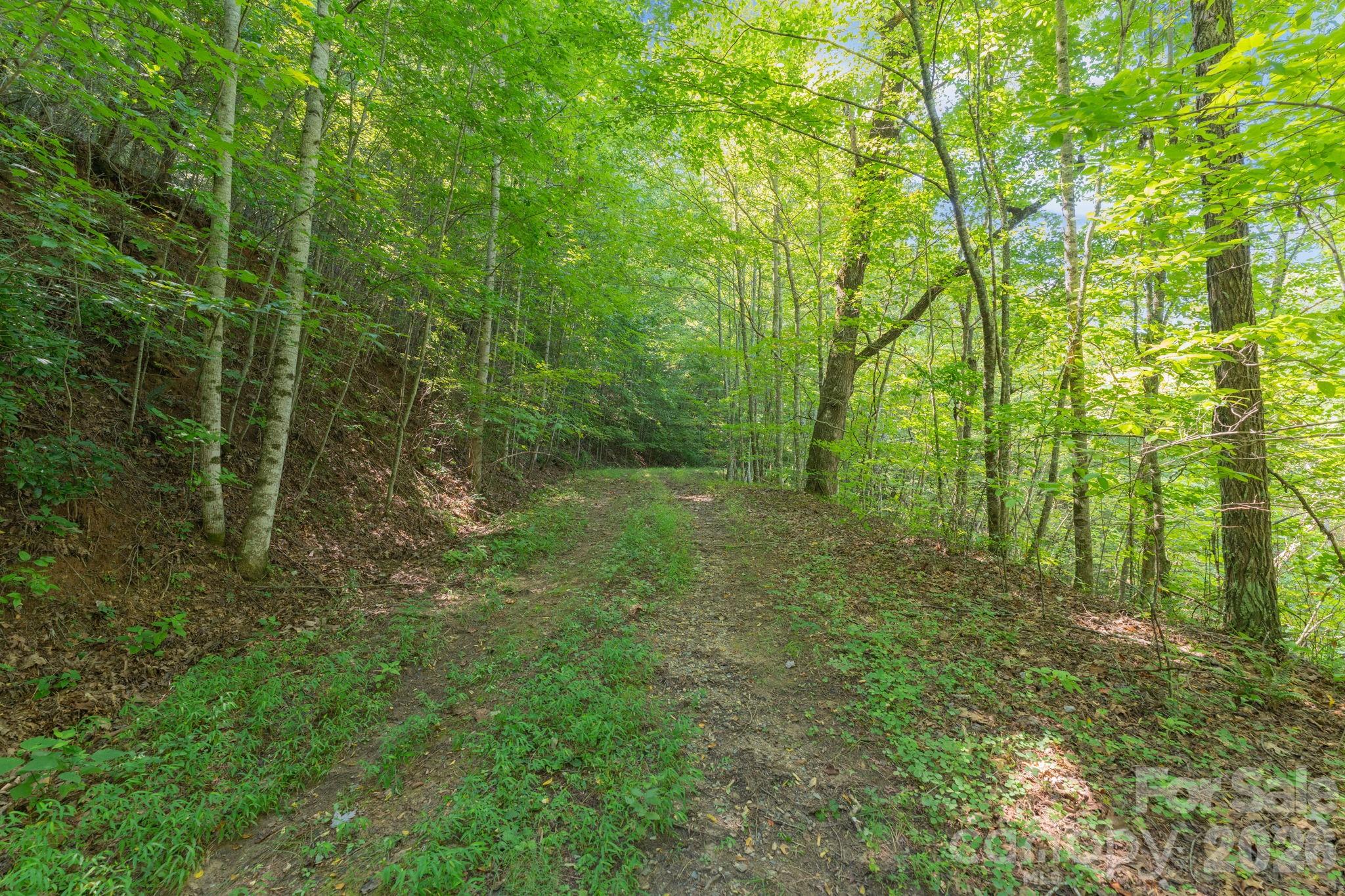 80 Breezewood Drive
