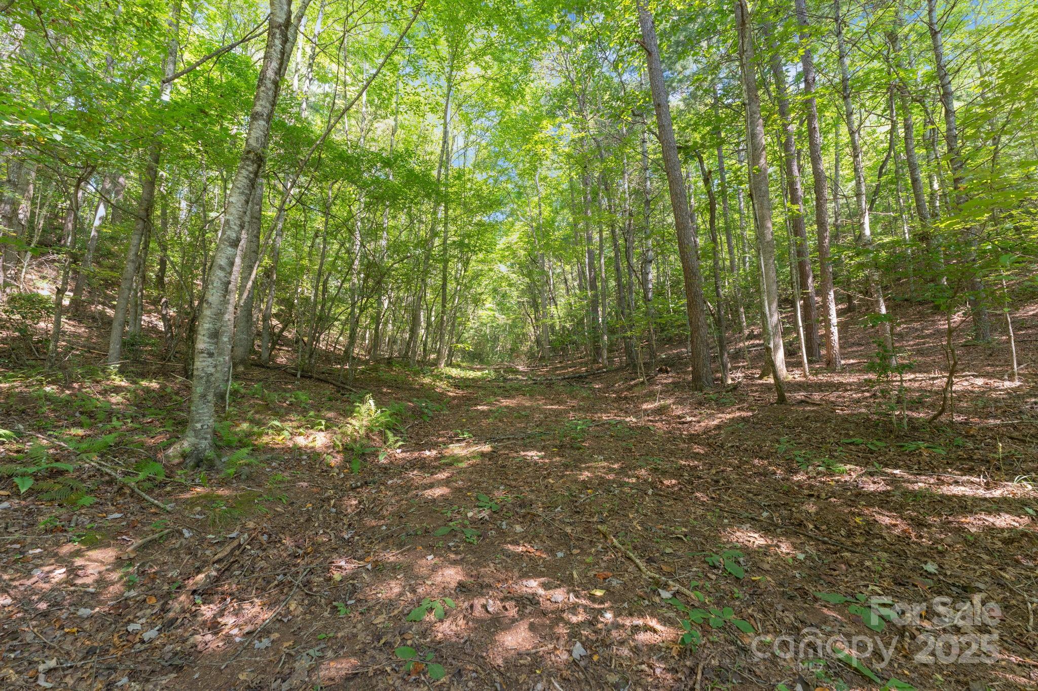 80 Breezewood Drive