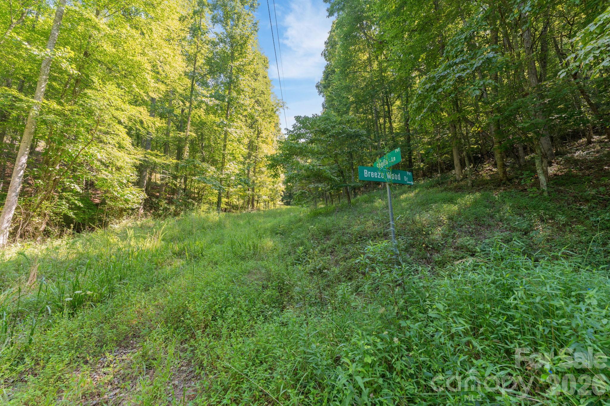 80 Breezewood Drive