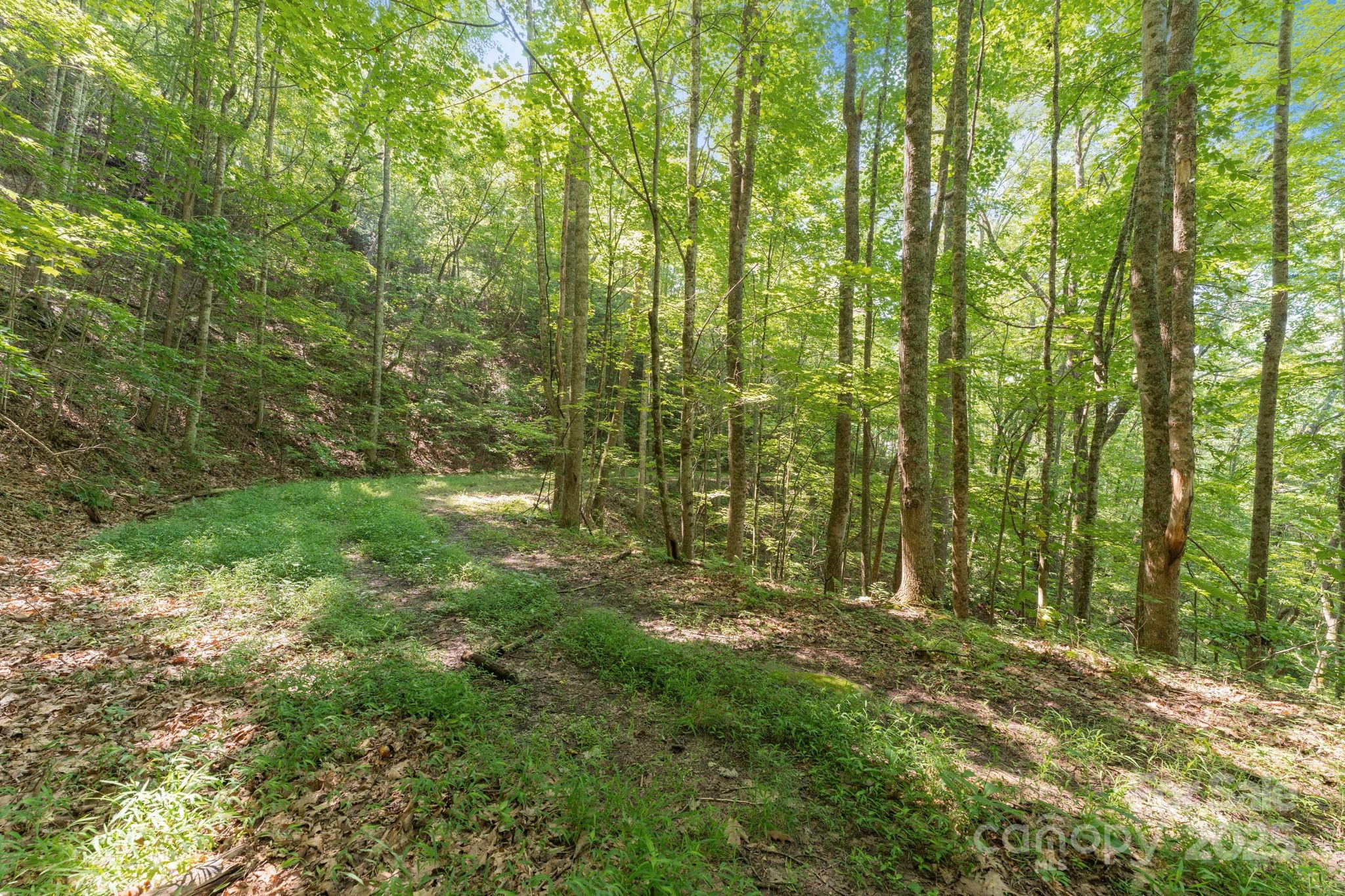 80 Breezewood Drive