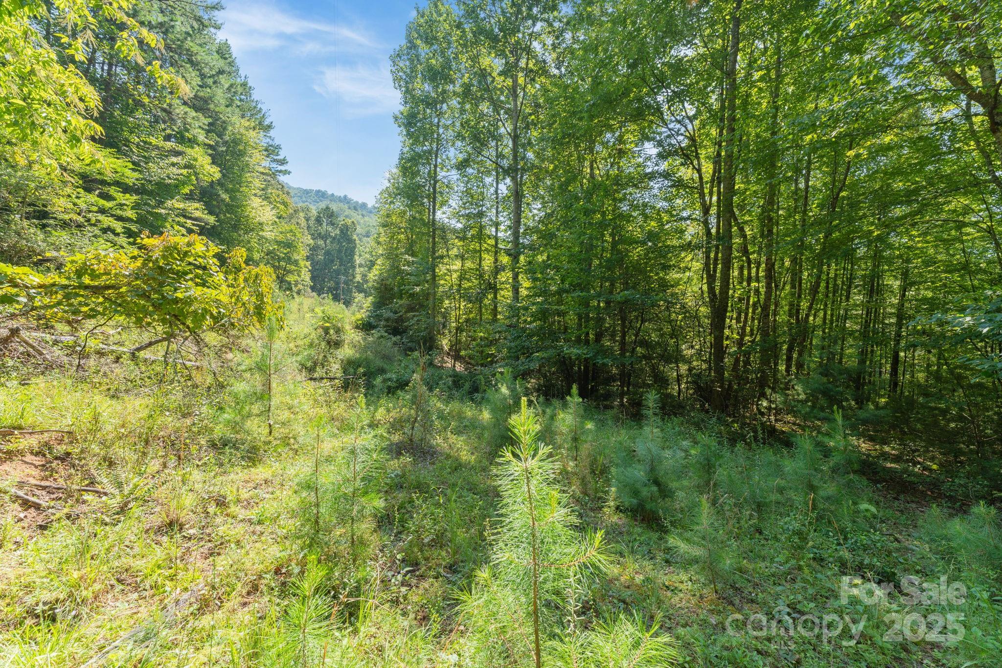 80 Breezewood Drive