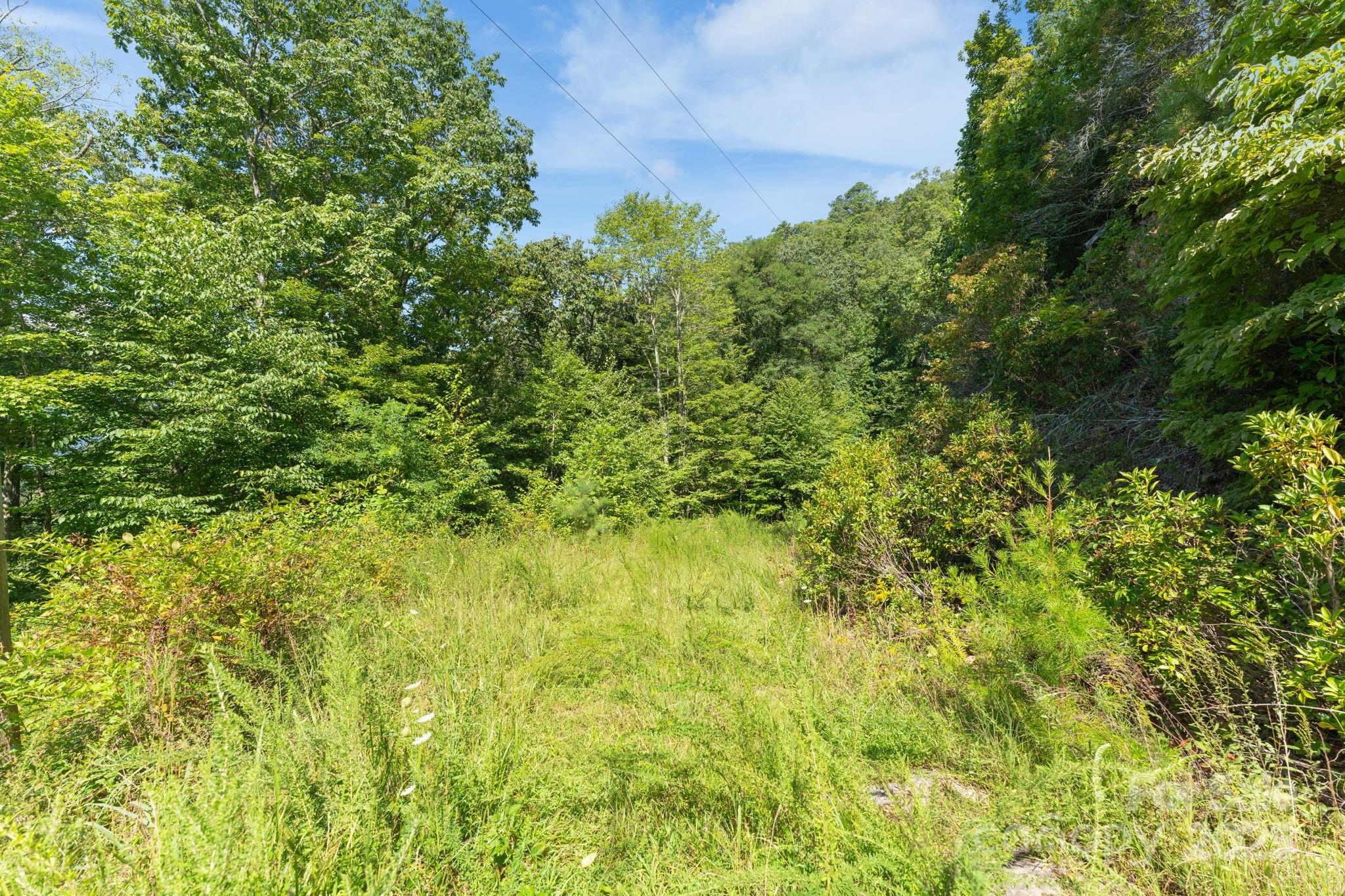 80 Breezewood Drive
