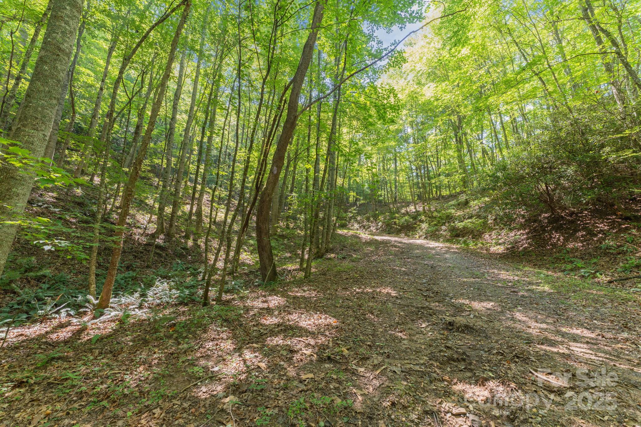 80 Breezewood Drive