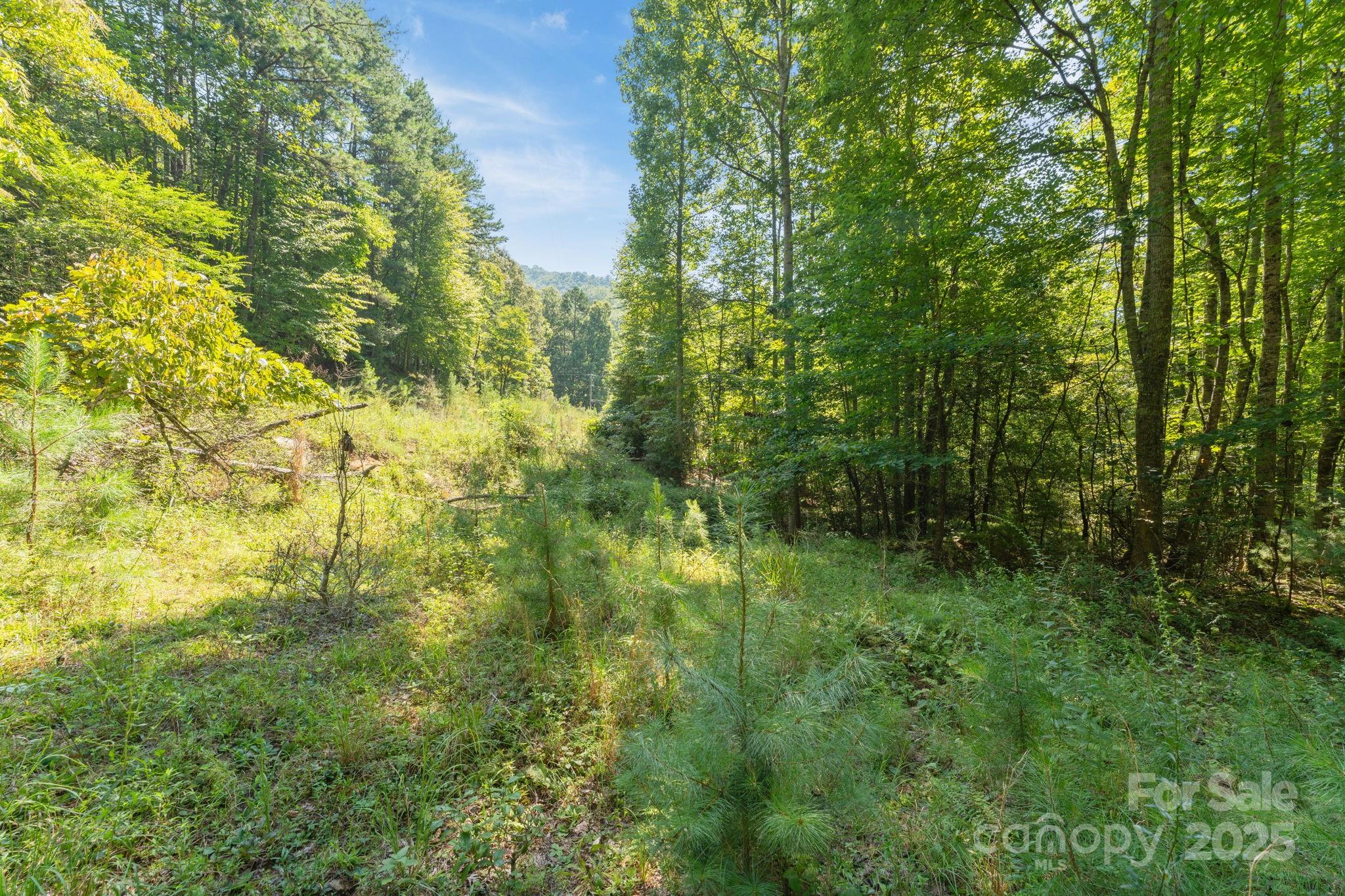 80 Breezewood Drive
