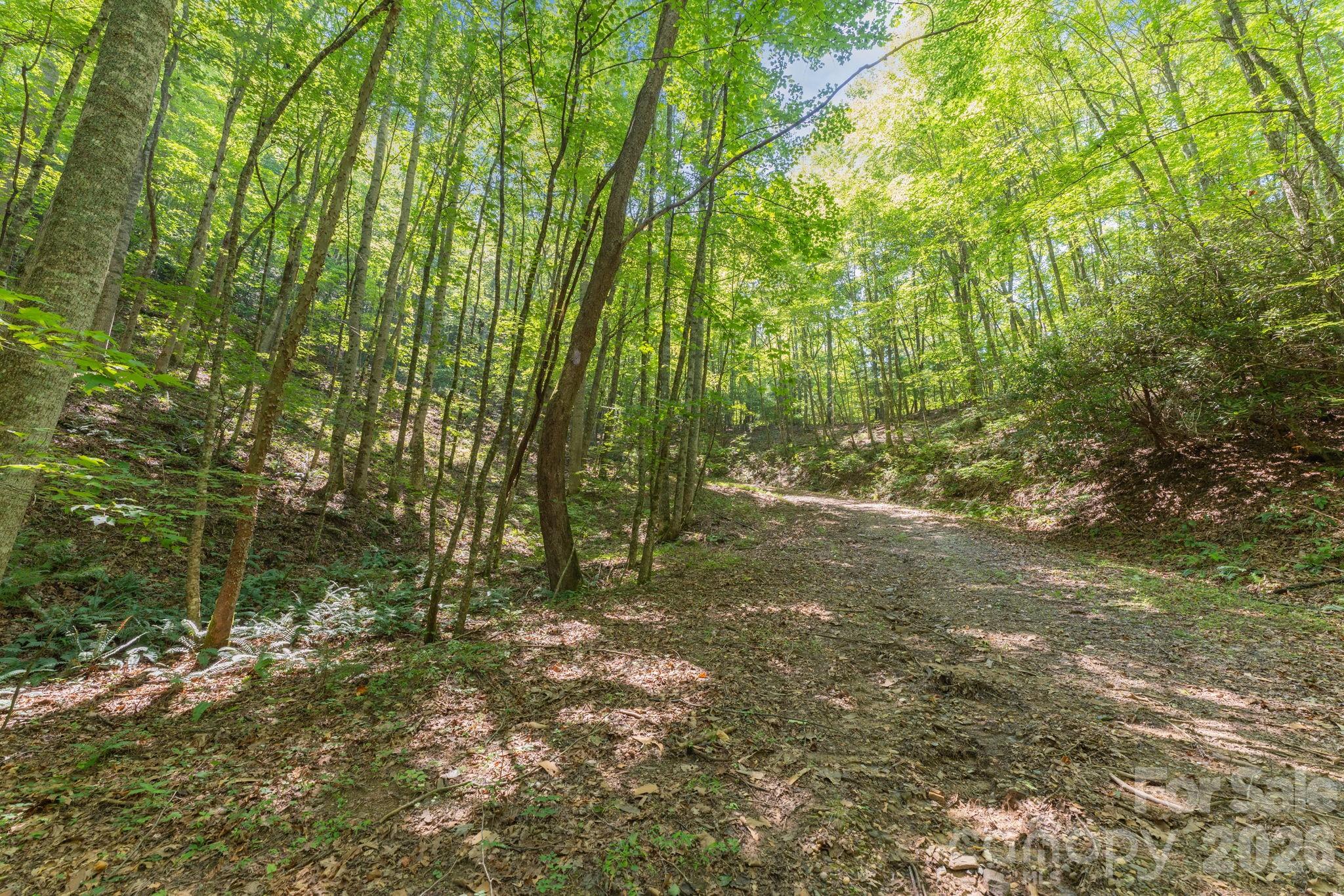 80 Breezewood Drive