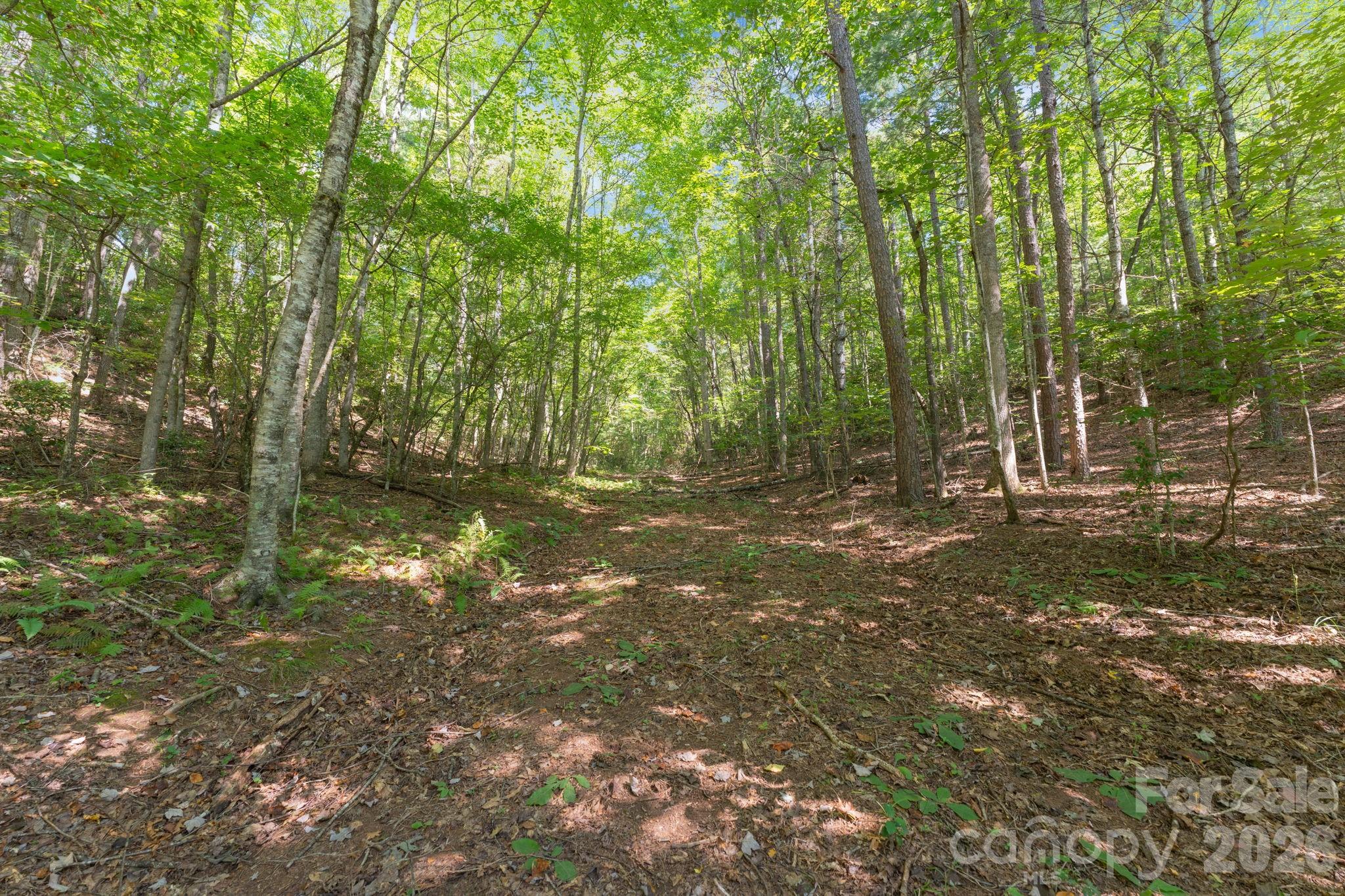 80 Breezewood Drive