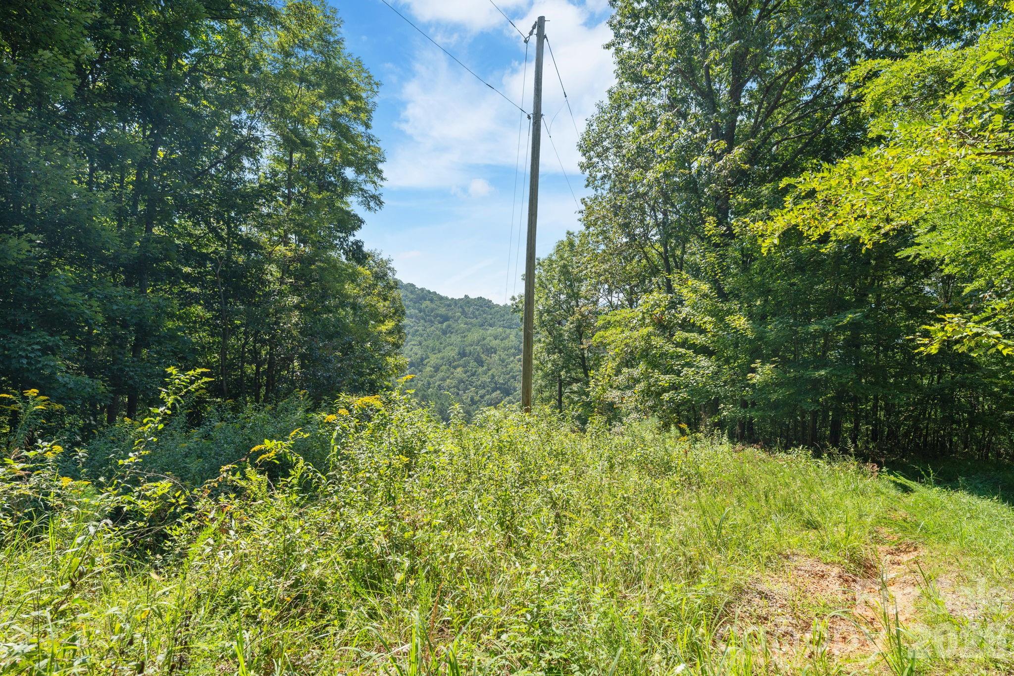 80 Breezewood Drive