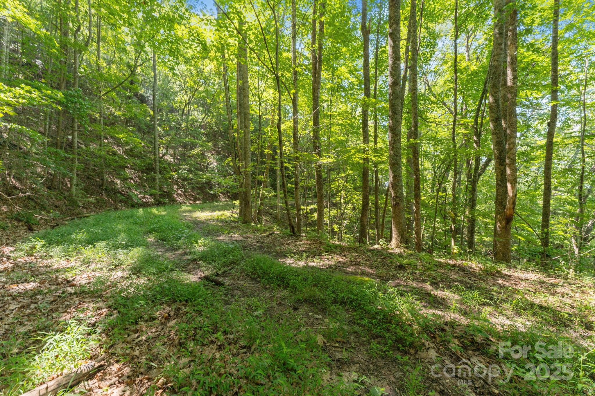80 Breezewood Drive