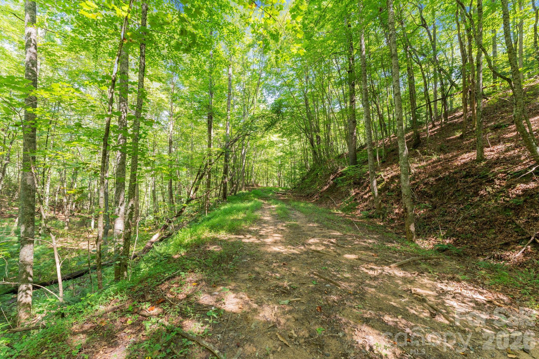 80 Breezewood Drive