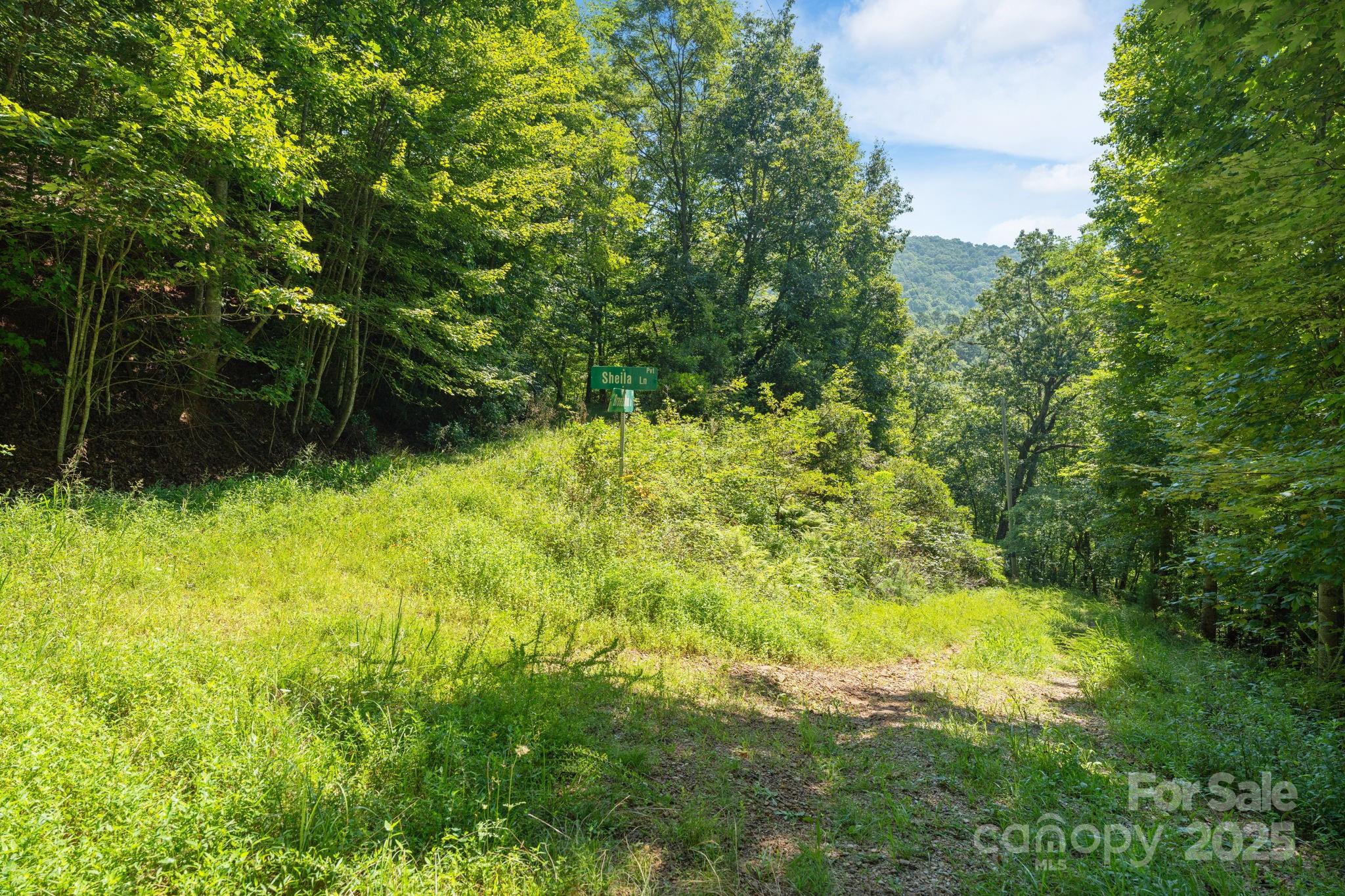 80 Breezewood Drive