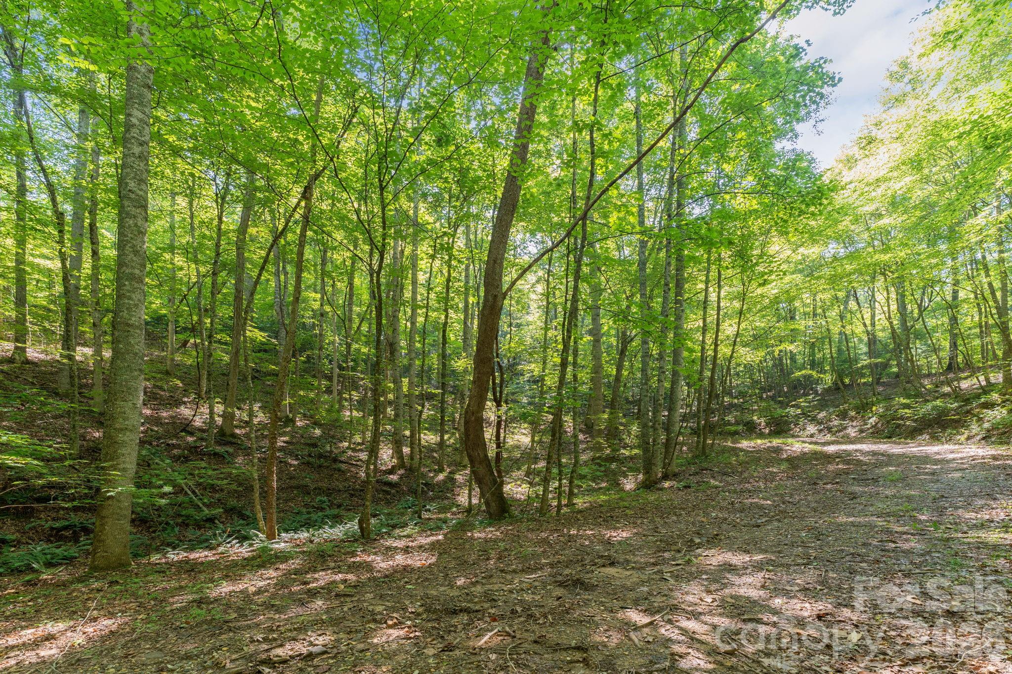 80 Breezewood Drive
