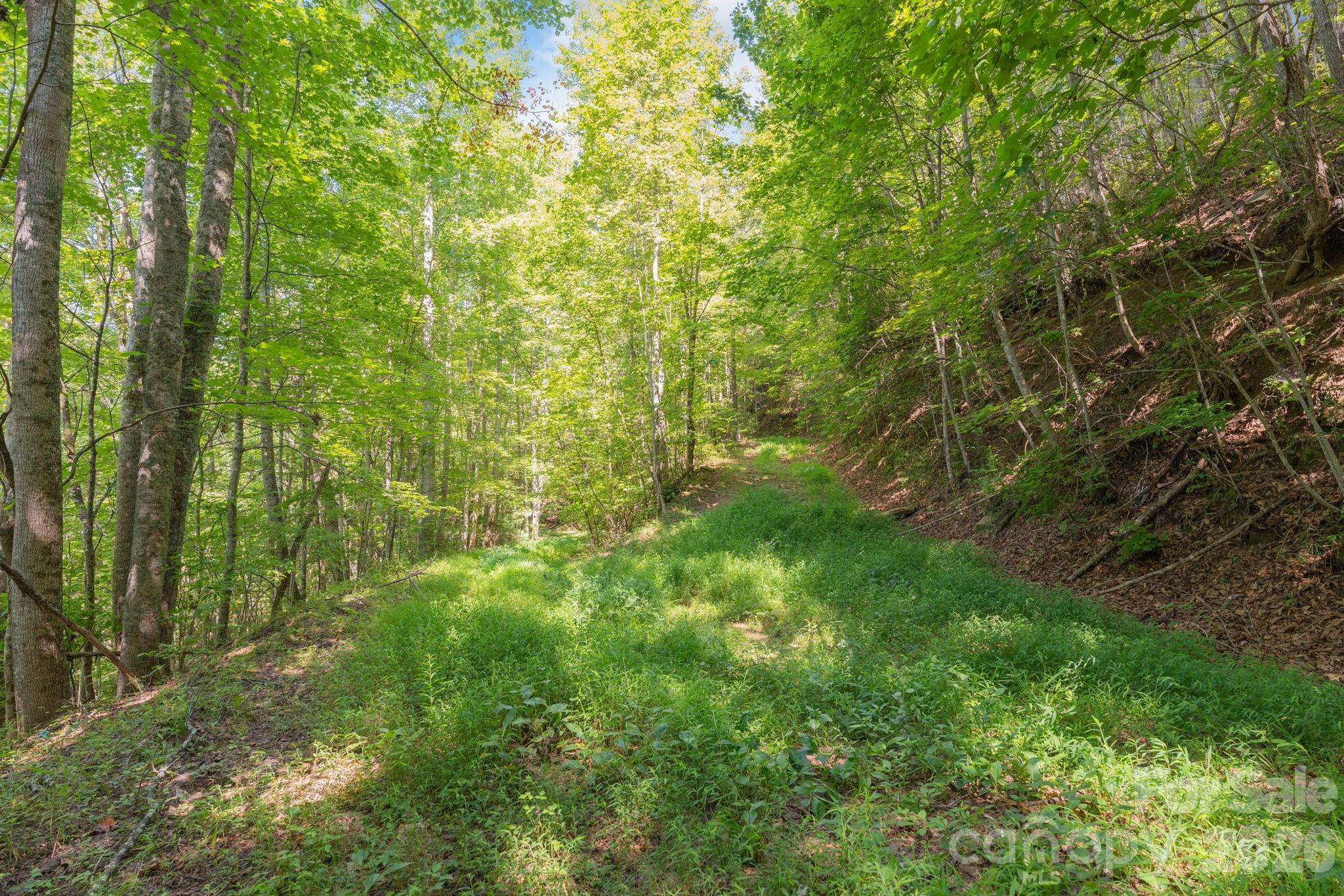 80 Breezewood Drive