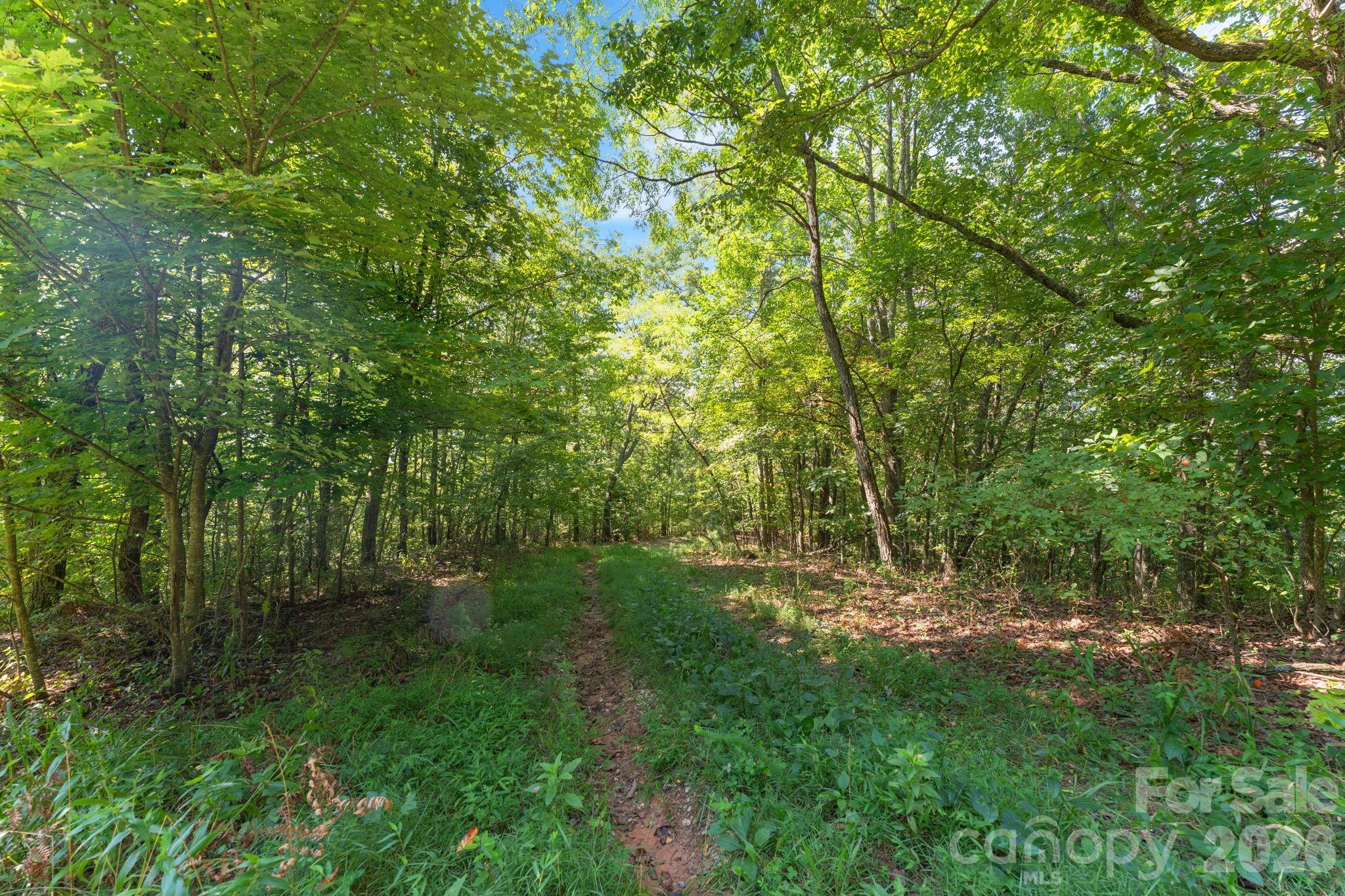 80 Breezewood Drive
