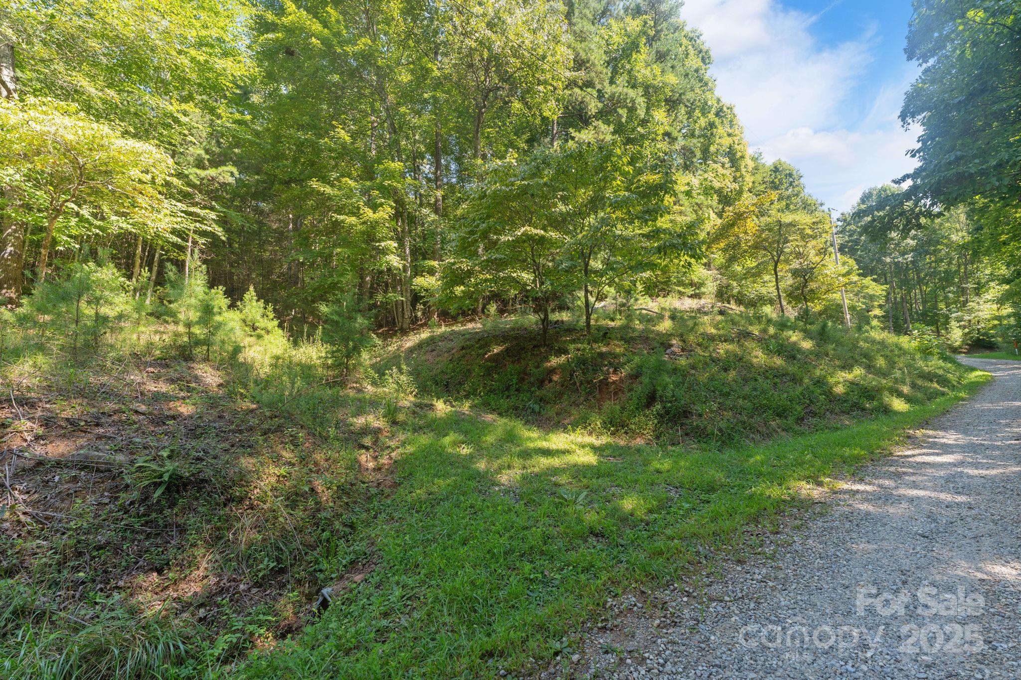 80 Breezewood Drive