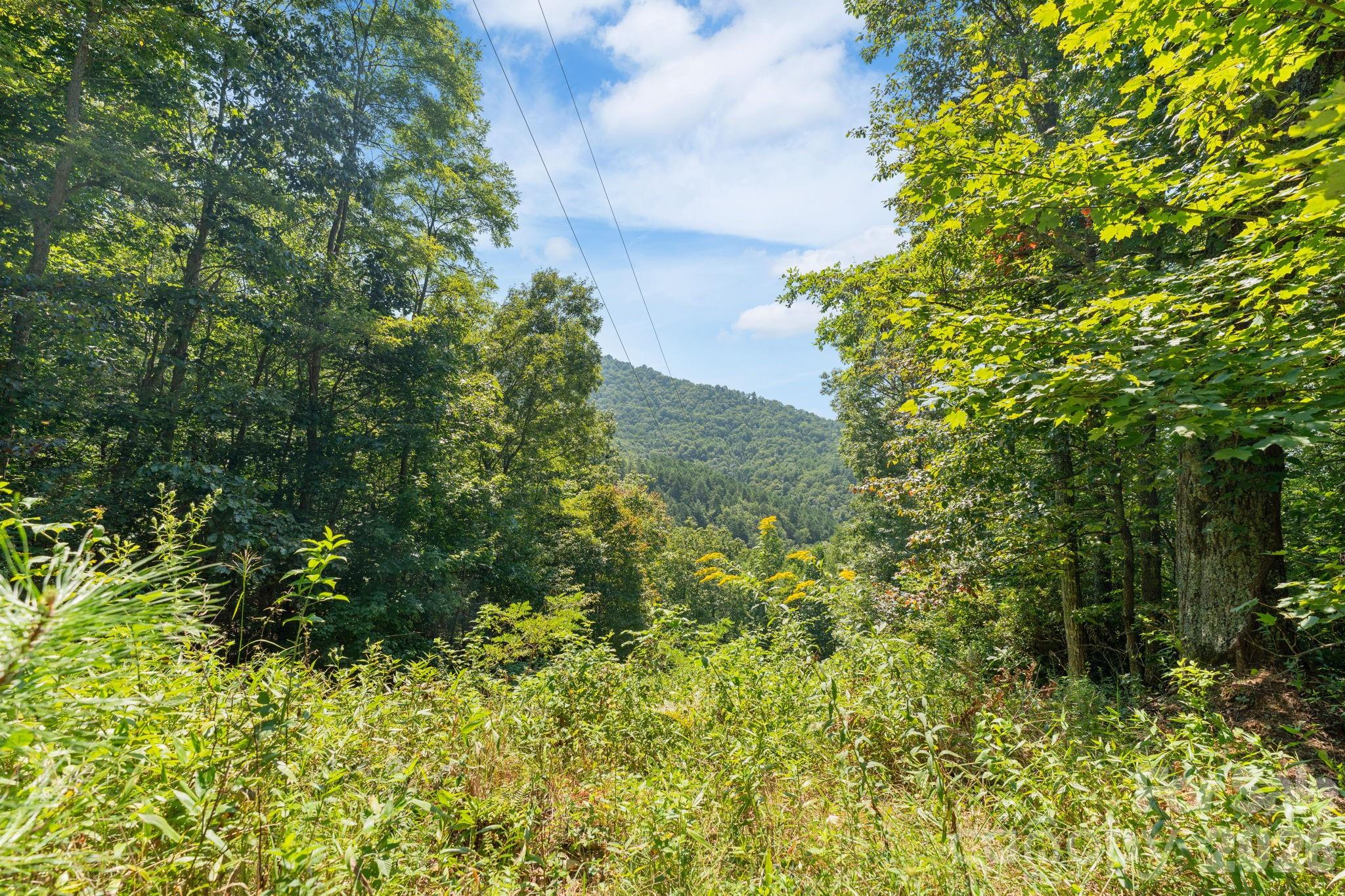 80 Breezewood Drive