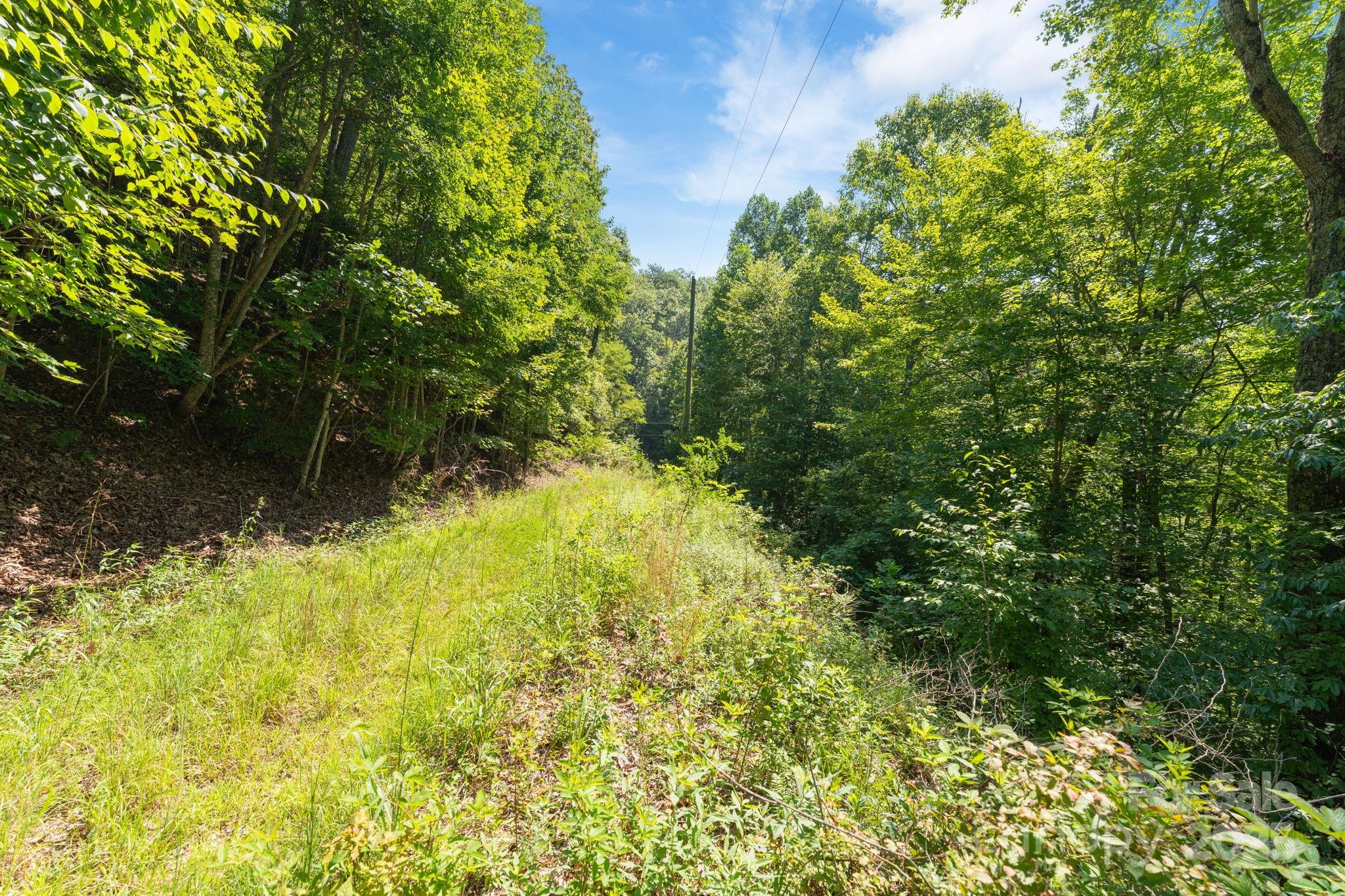 80 Breezewood Drive