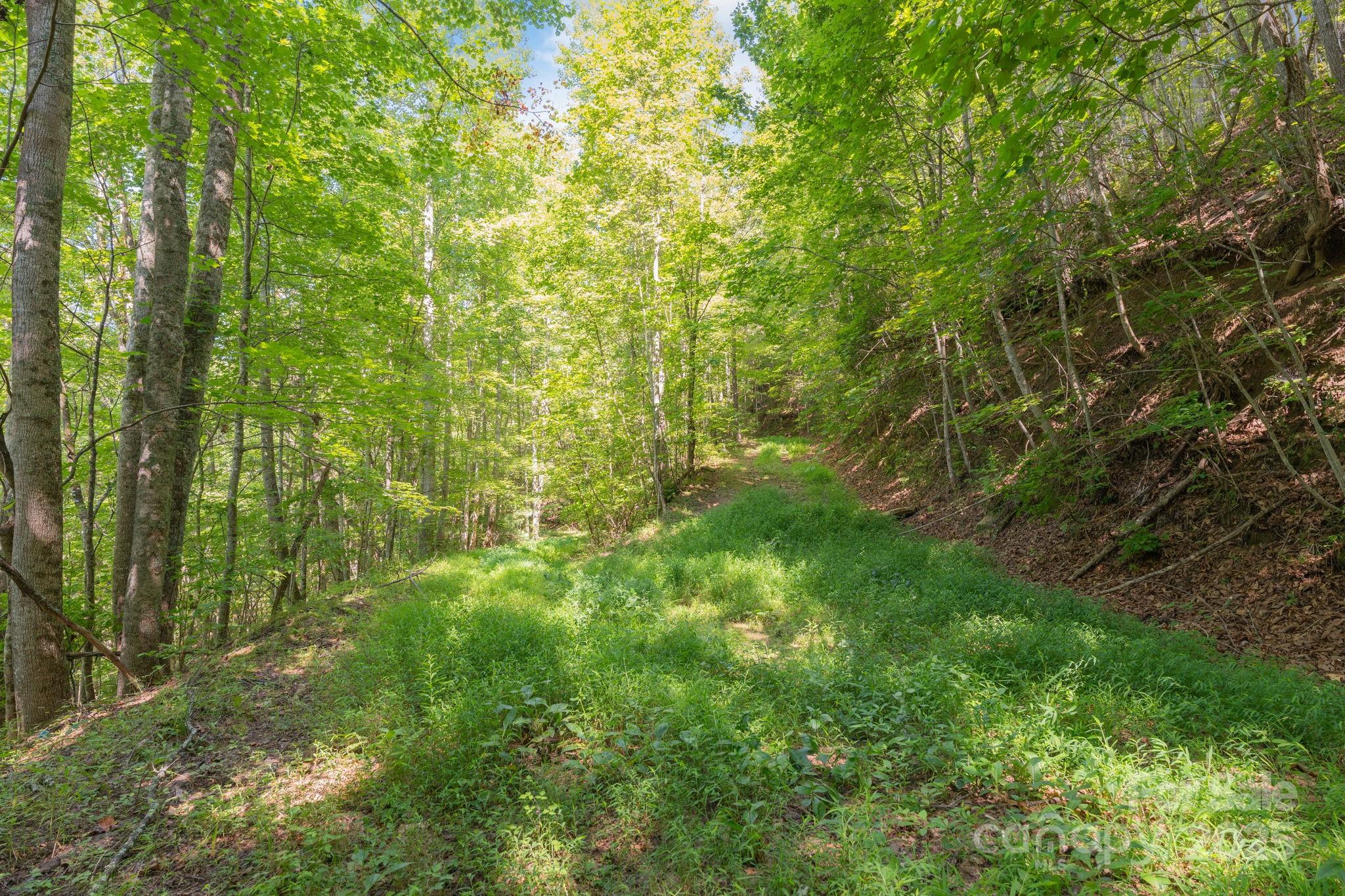 80 Breezewood Drive