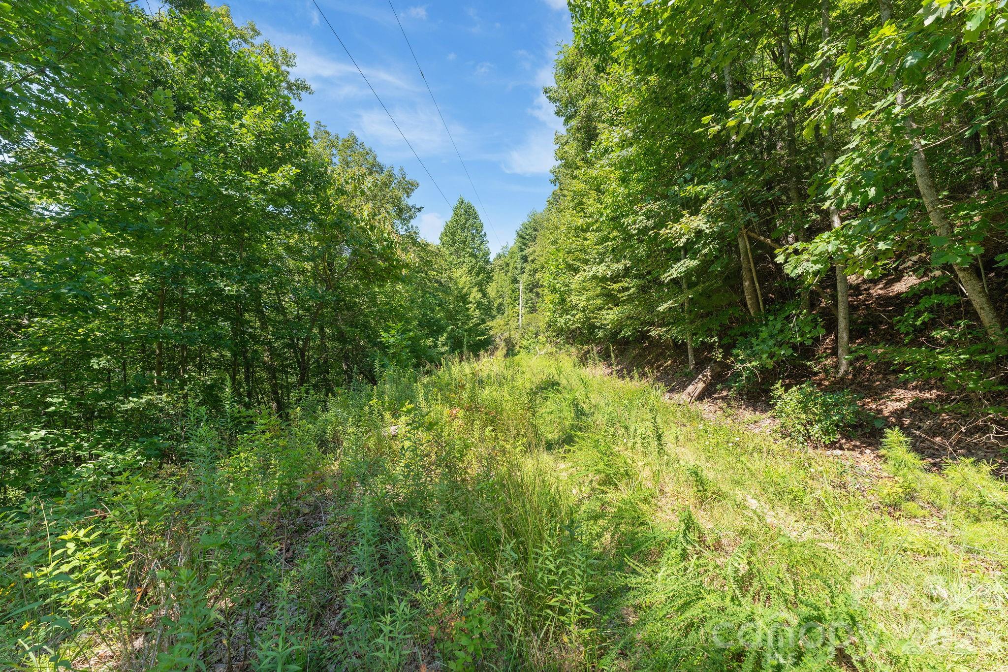 80 Breezewood Drive