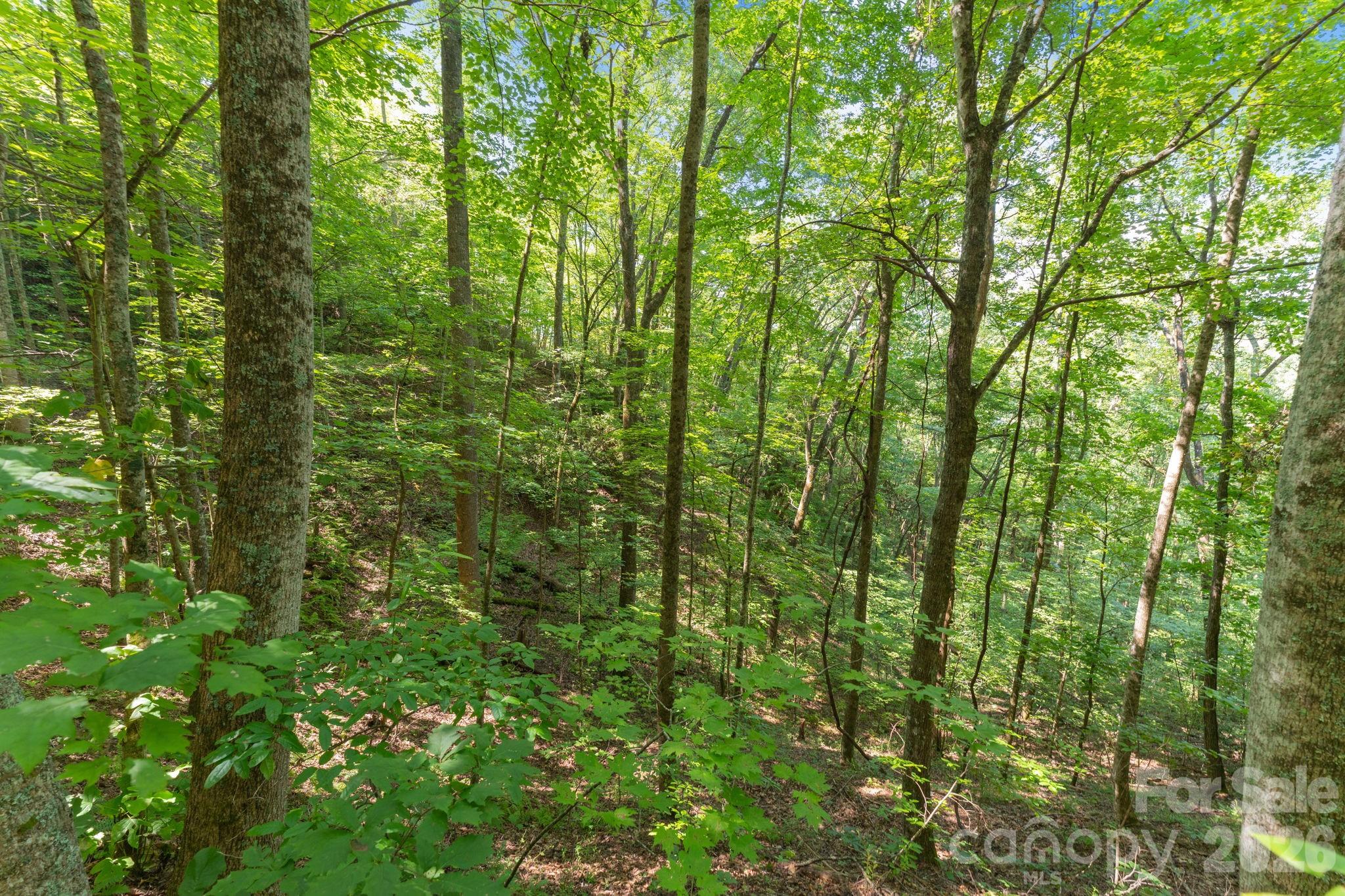 80 Breezewood Drive