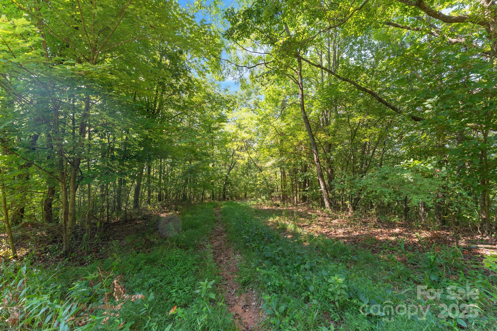 80 Breezewood Drive