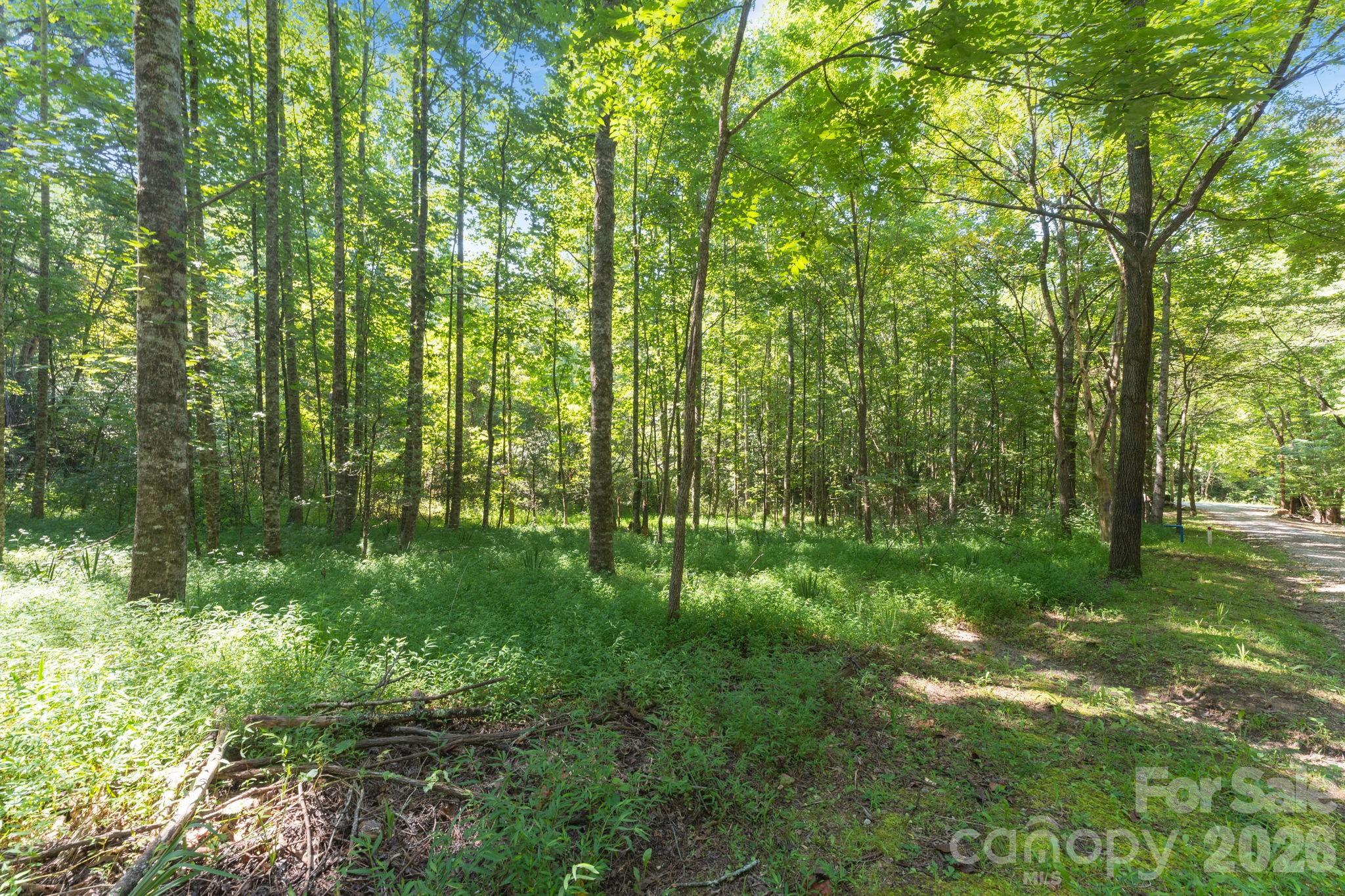 80 Breezewood Drive