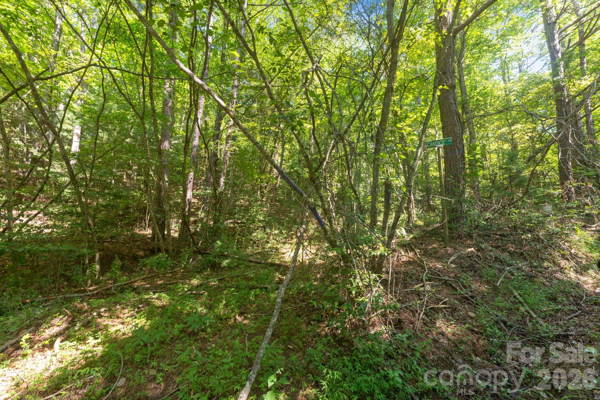 80 Breezewood Drive