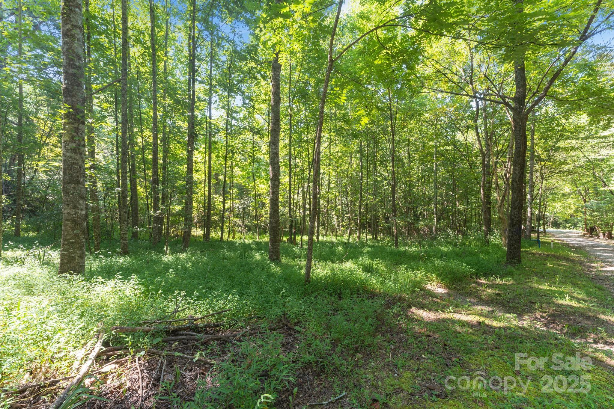 80 Breezewood Drive