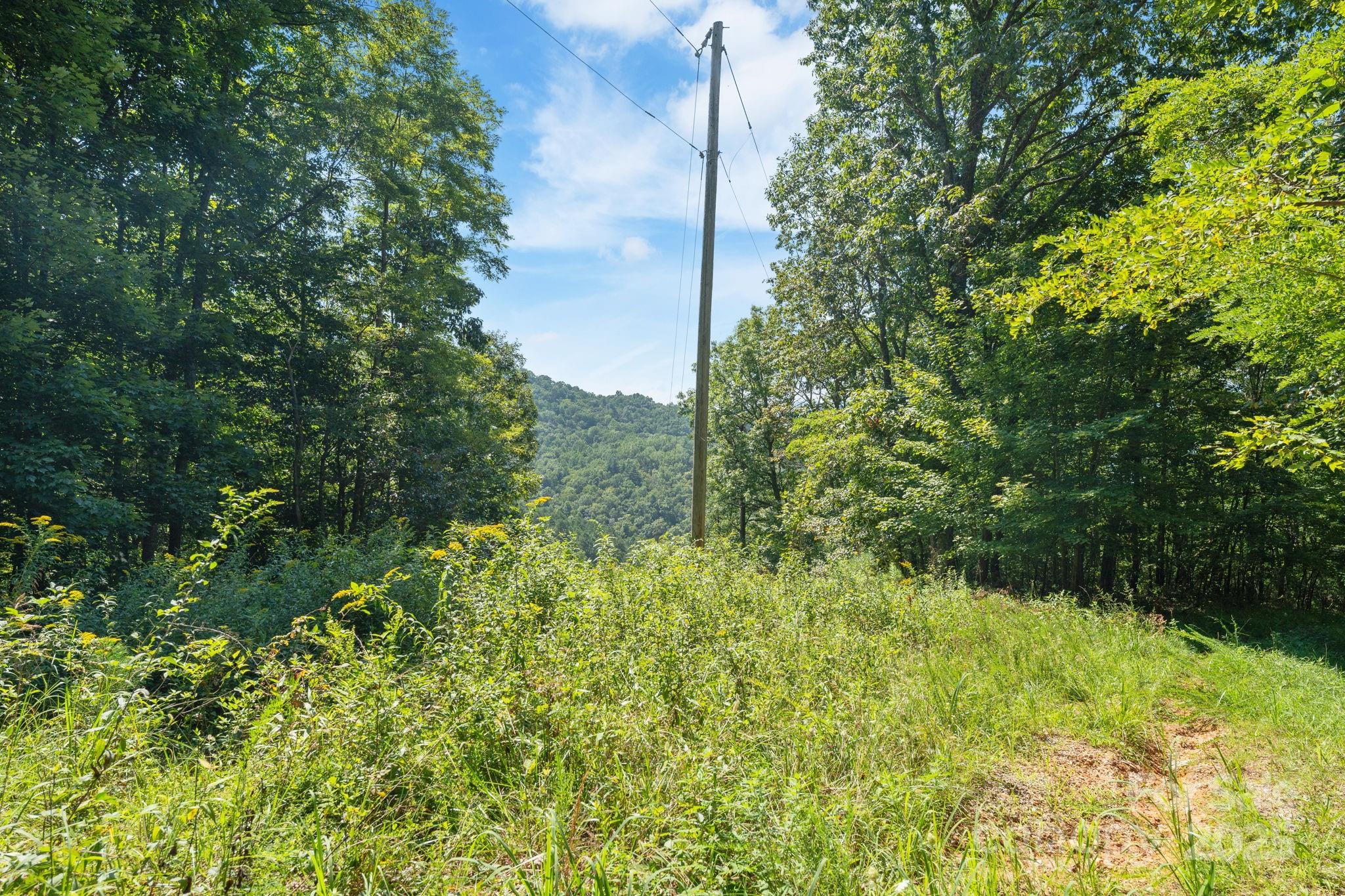 80 Breezewood Drive