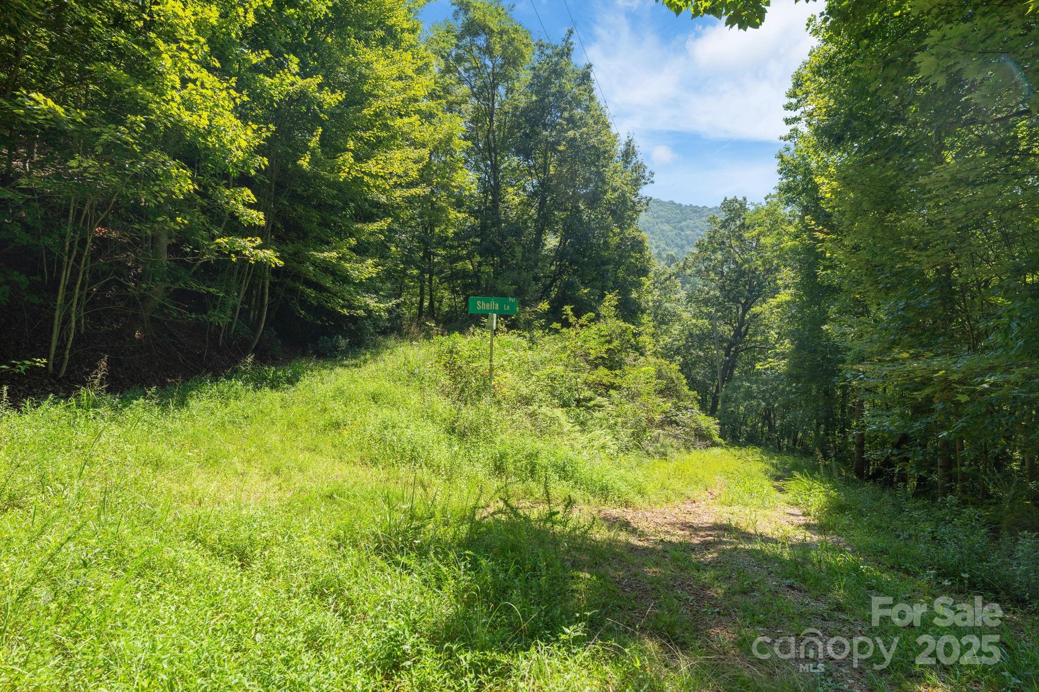 80 Breezewood Drive