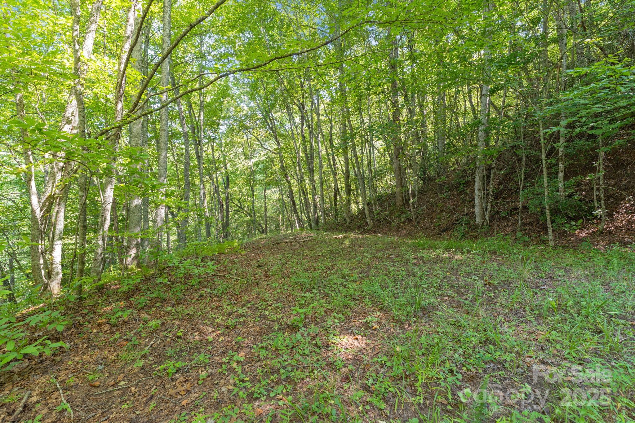 80 Breezewood Drive
