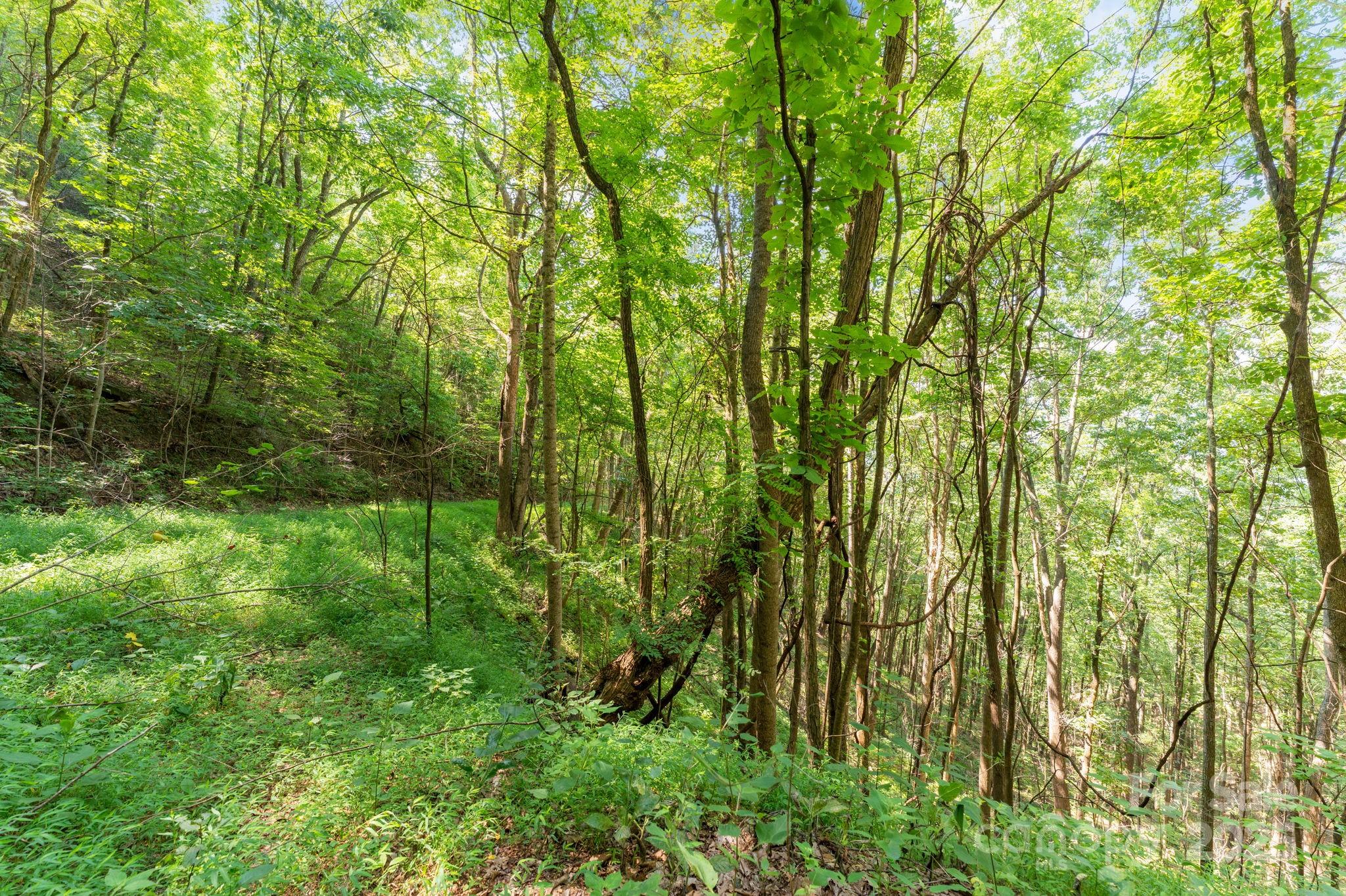 80 Breezewood Drive