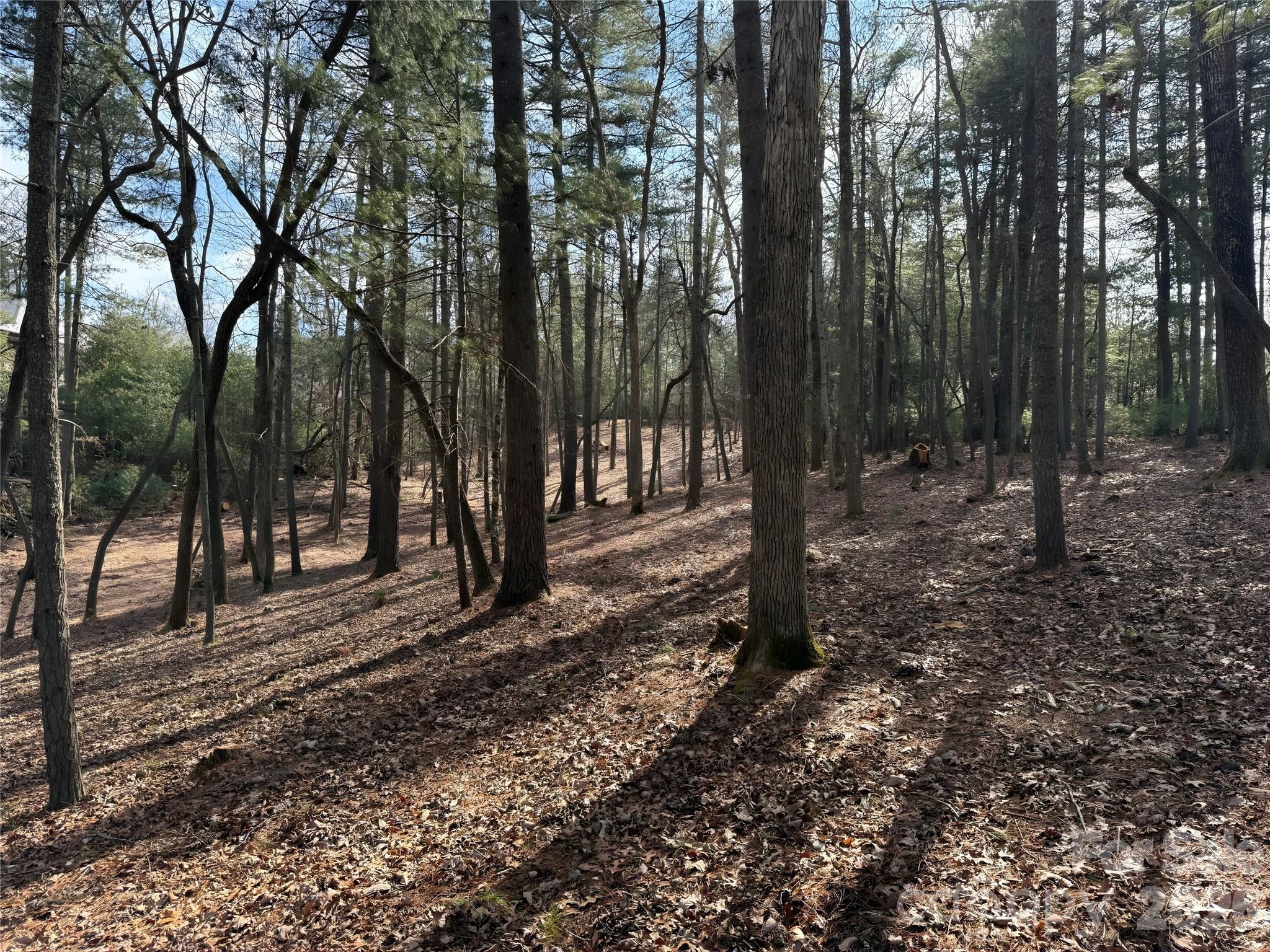 0 Cedar Hill Drive Unit: 24