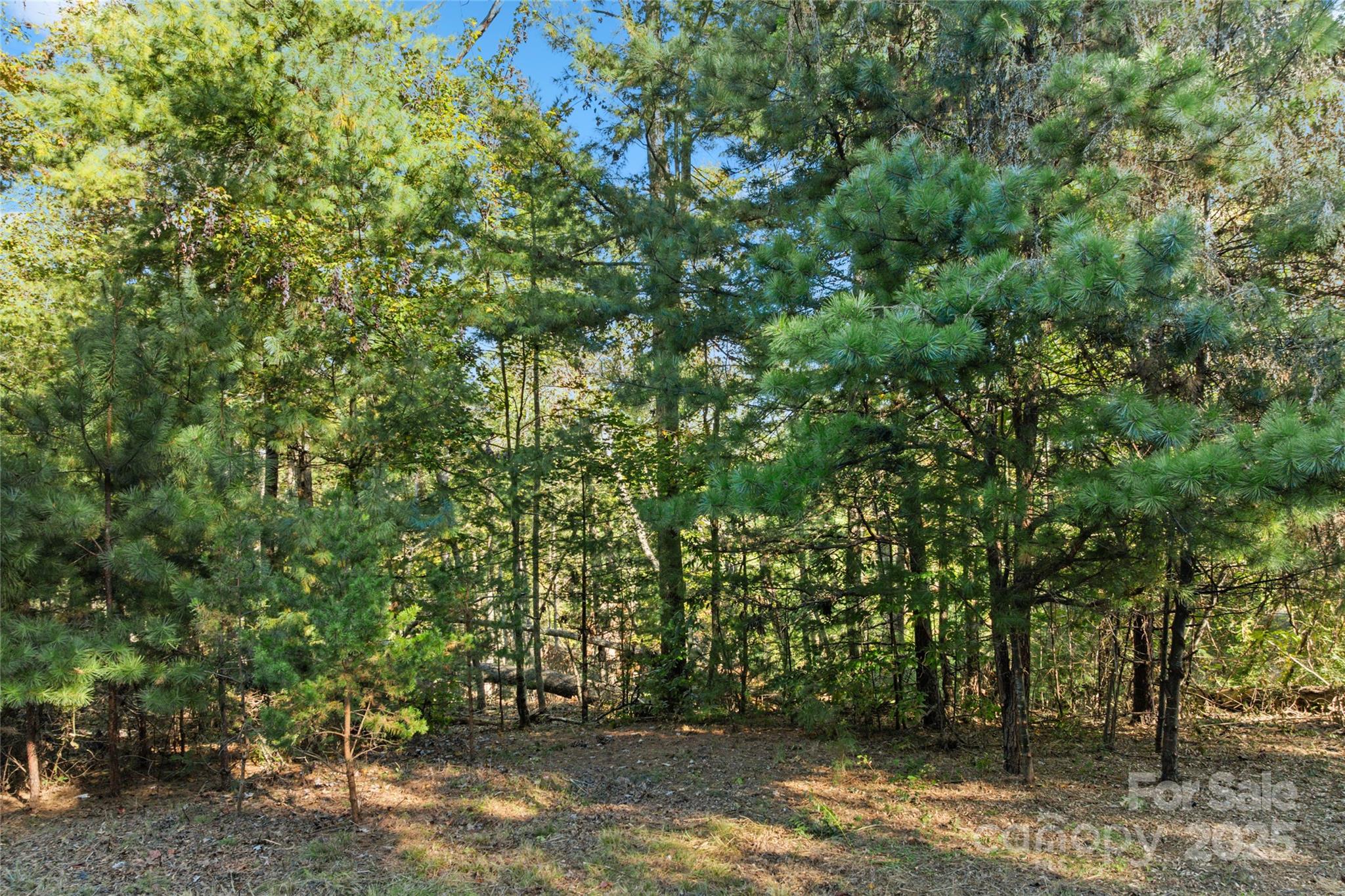 0 Cedar Hill Drive Unit: 24