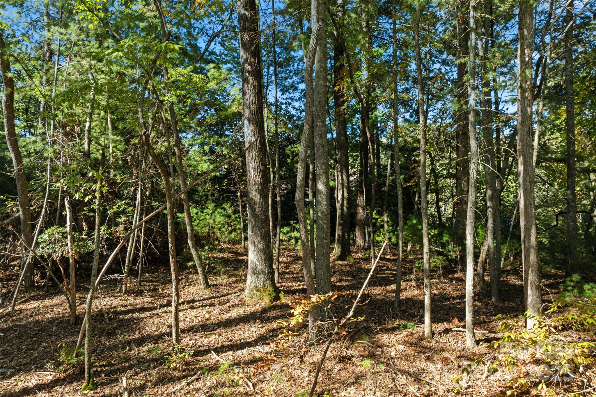 0 Cedar Hill Drive Unit: 24