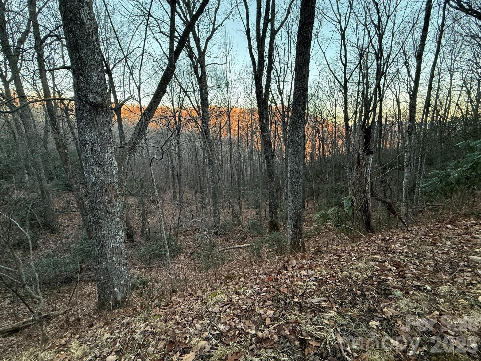 Lot 32 Bear Hollow Road Unit: 32