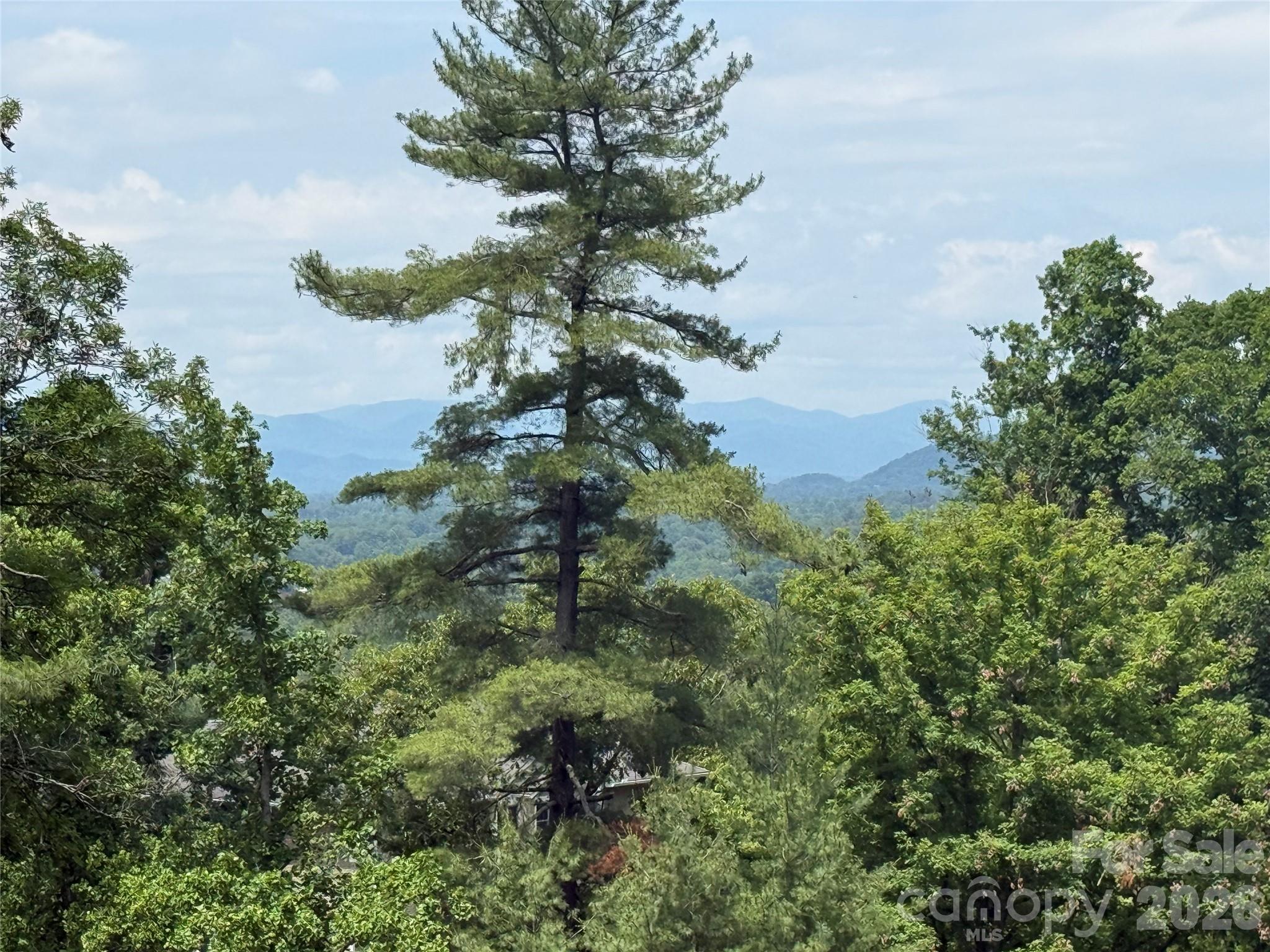 44 Leisure Mountain Road