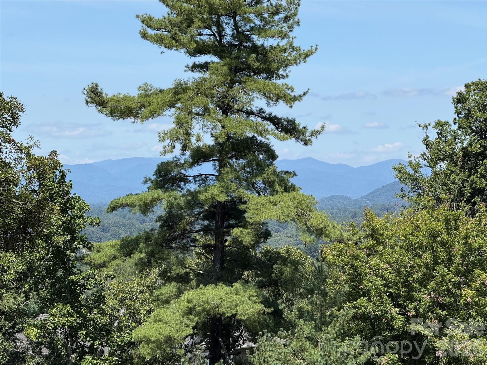44 Leisure Mountain Road