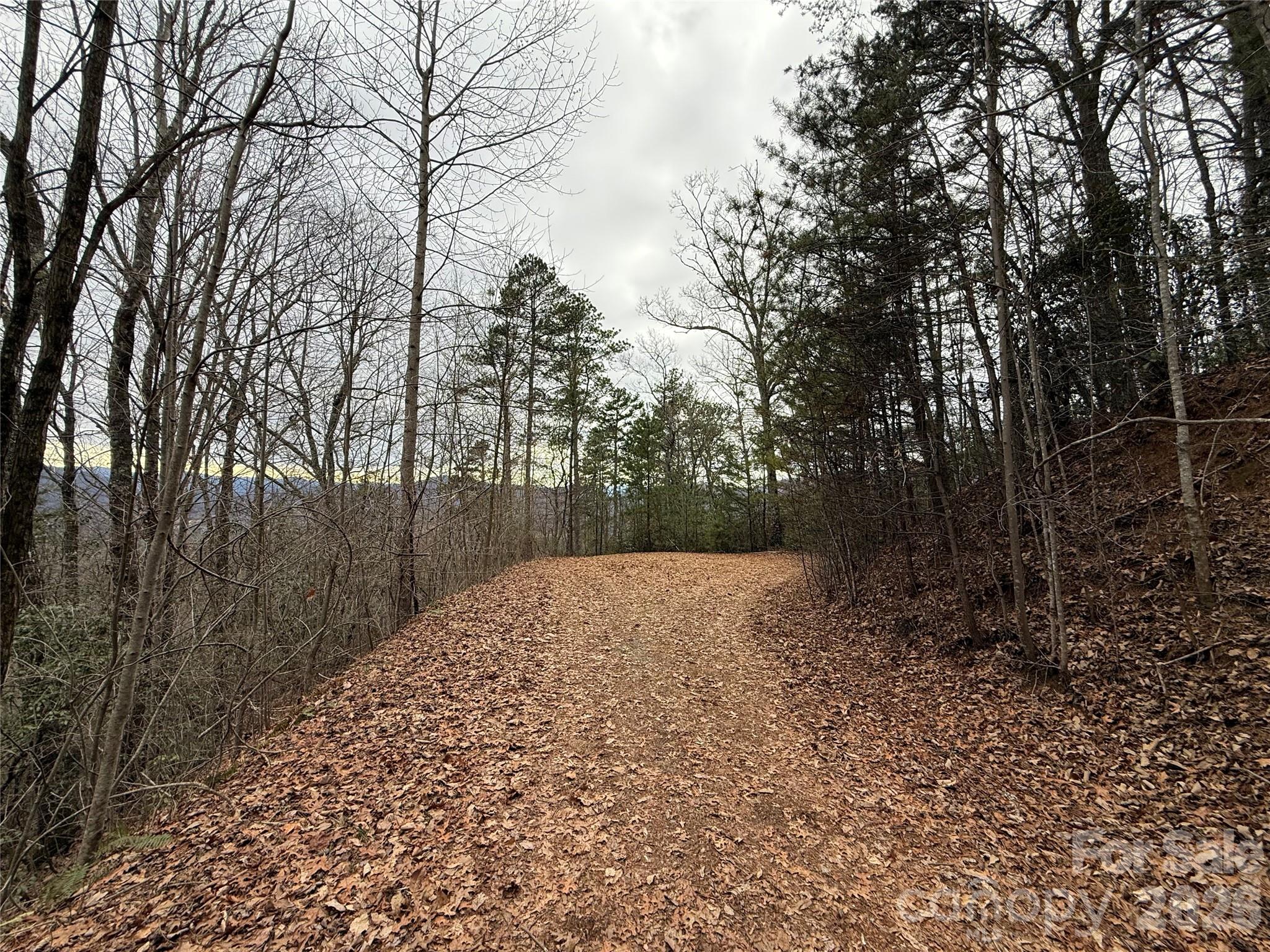 0 Betts Branch Road