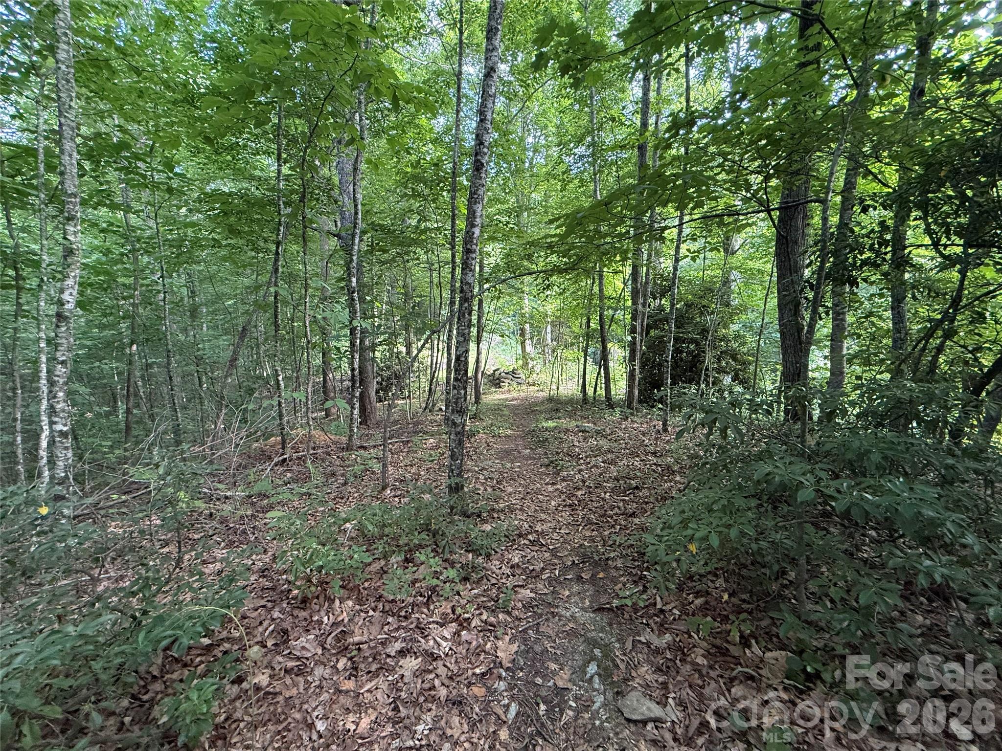 64 Clay View Drive