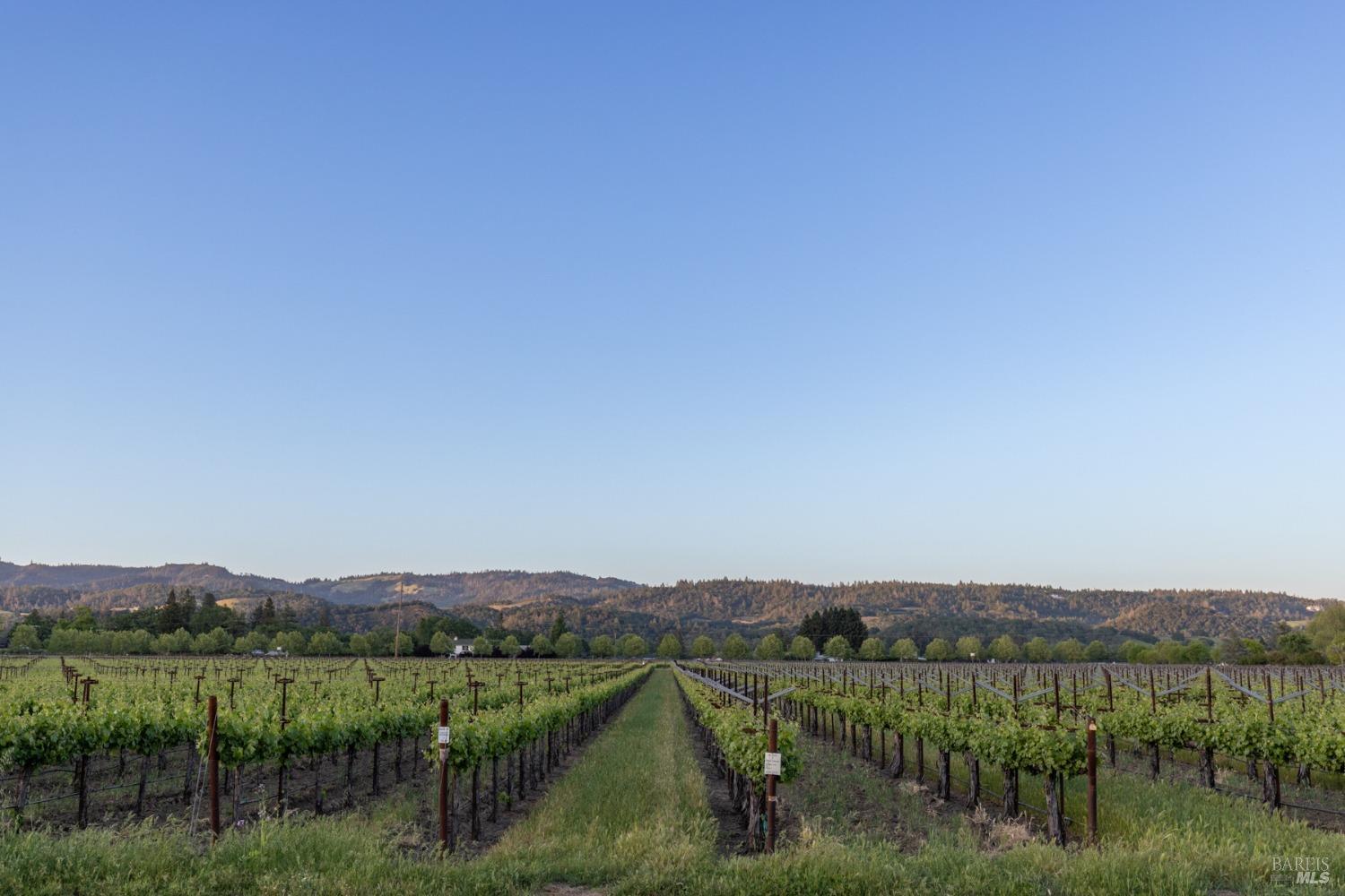 1458 Saint Helena Hwy S